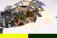 item-209042540=5