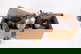 item-209042730=2