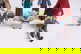 item-209407756=5