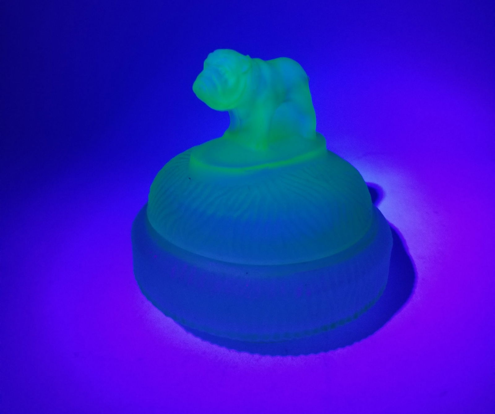 L.E. Smith Figural Bulldog Uranium Glass Powder Jar (1 of 3)