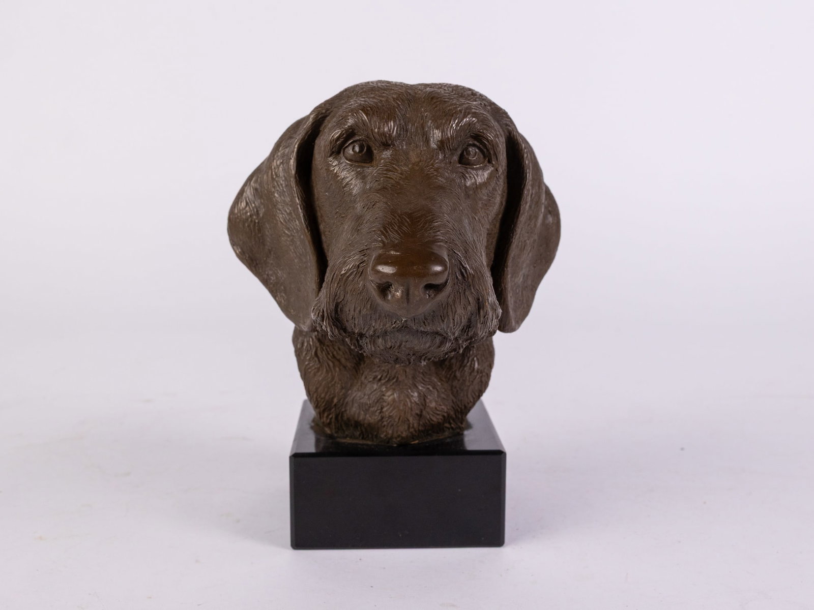 Cold Cast Bronze Wirehaired Dachshund: Cold Cast Bronze Wirehaired Dachshund Size 8" H Literature Brooks Auction – Online Auction Terms & Conditions ————————————