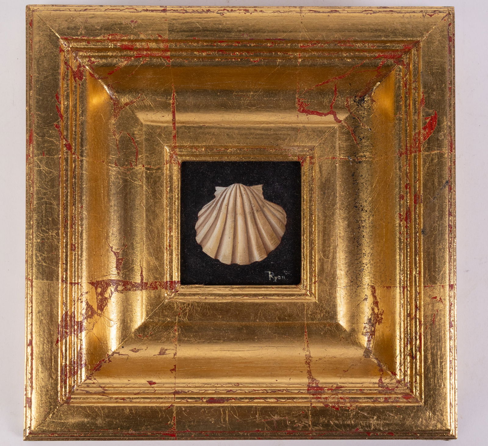 Shell Still Life in Ornate Gold Gilt Frame (1 of 2)