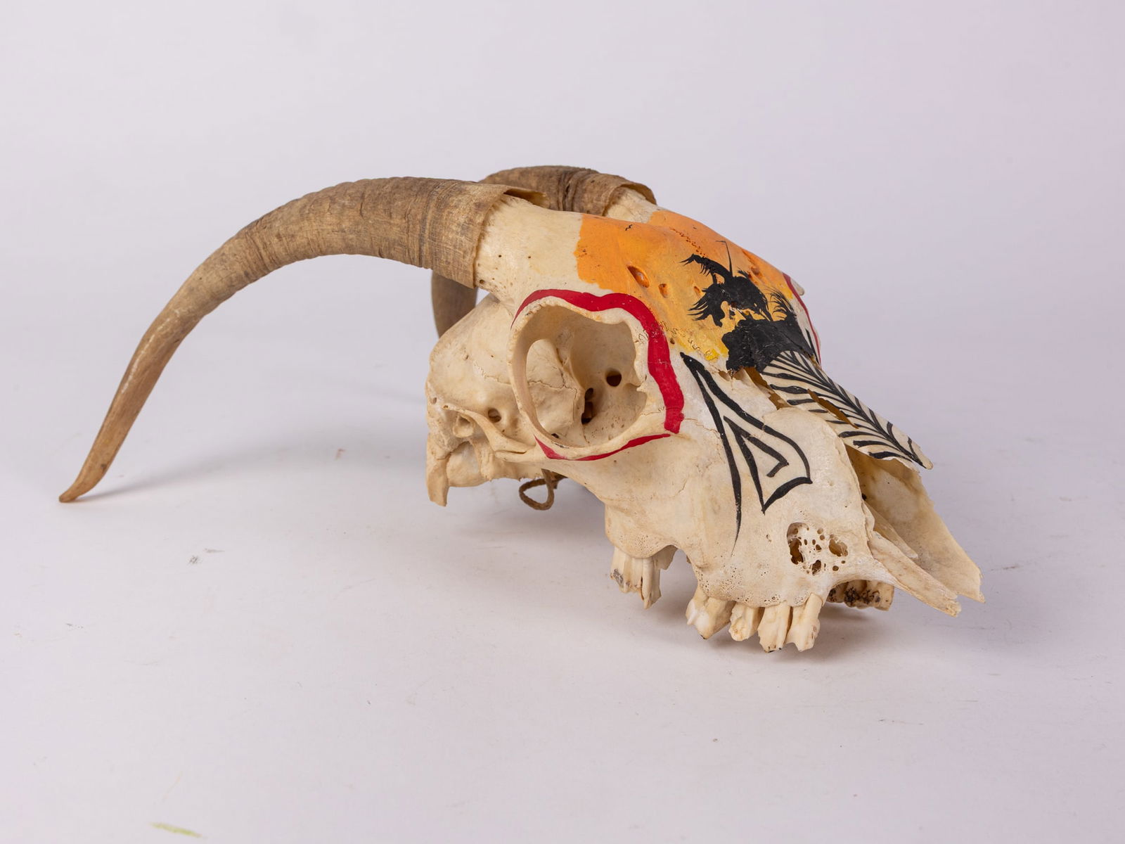Native American Hand Painted Goat Skull: Native American Hand Painted Goat Skull Size 12" x 6" x 8" Literature Brooks Auction is not responsible for outbids. Questions? Call the office at (856) 694-2960 or email us directly at info@brooks.