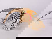 Native American Hand Painted Goat Skull: Native American Hand Painted Goat Skull Size 12" x 6" x 8" Literature Brooks Auction is not responsible for outbids. Questions? Call the office at (856) 694-2960 or email us directly at info@brooks.