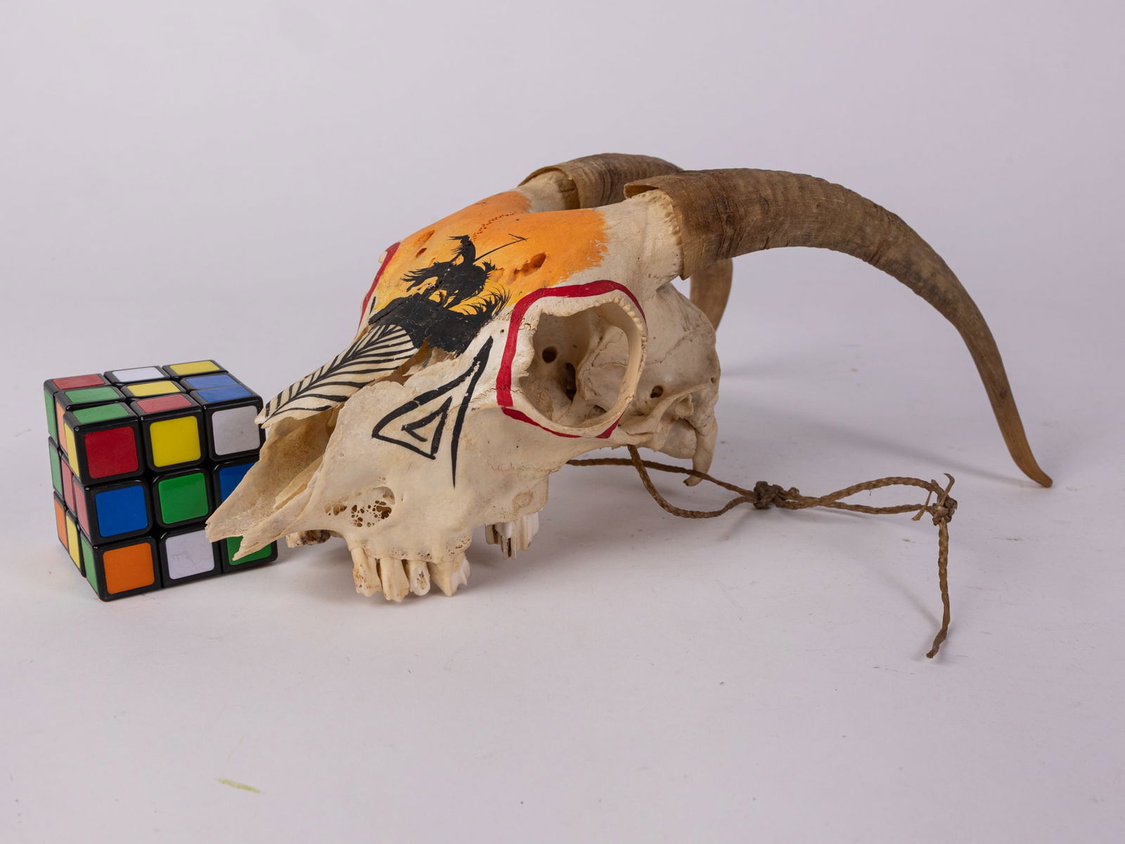 Native American Hand Painted Goat Skull - 2