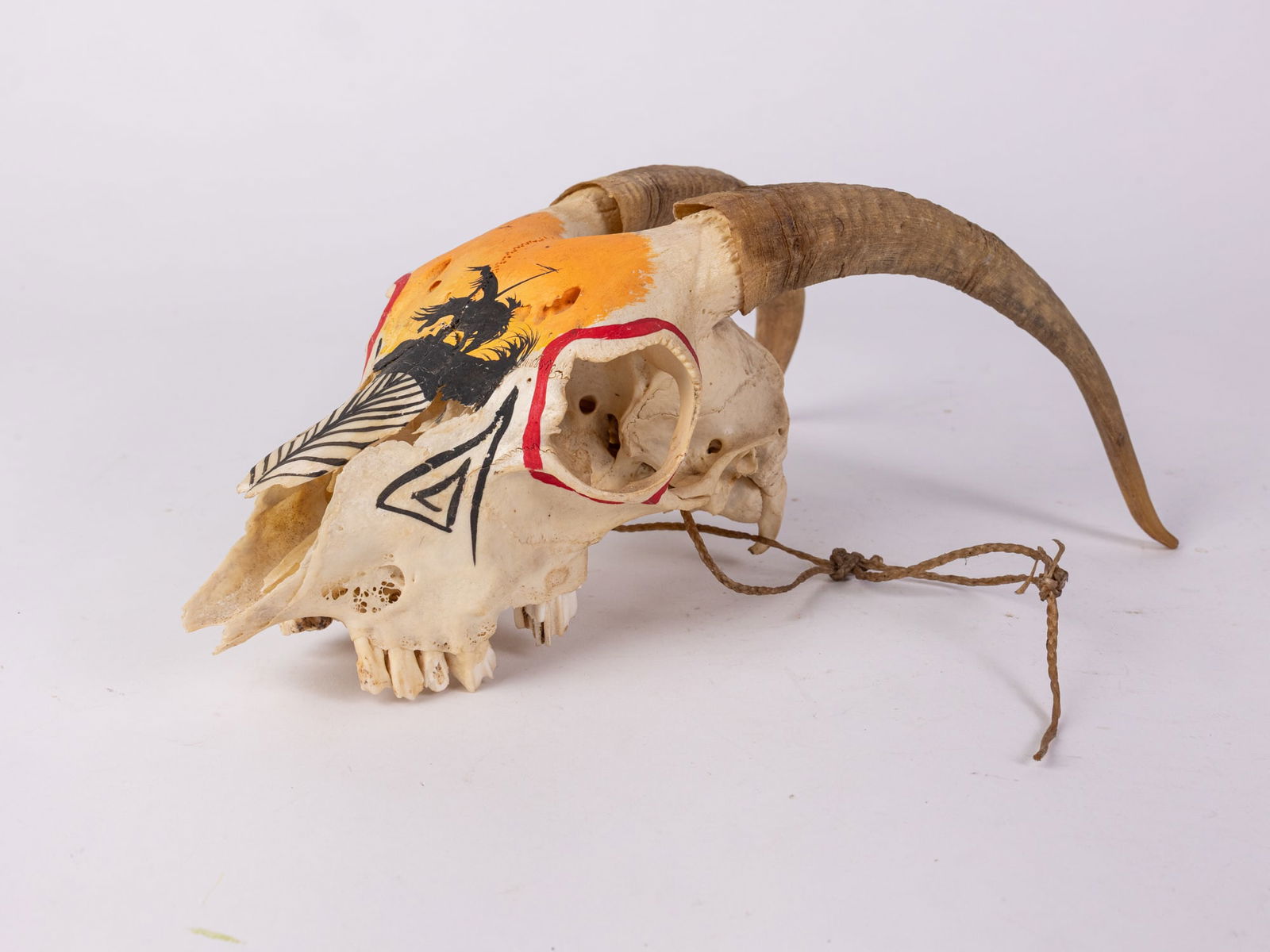 Native American Hand Painted Goat Skull - 3