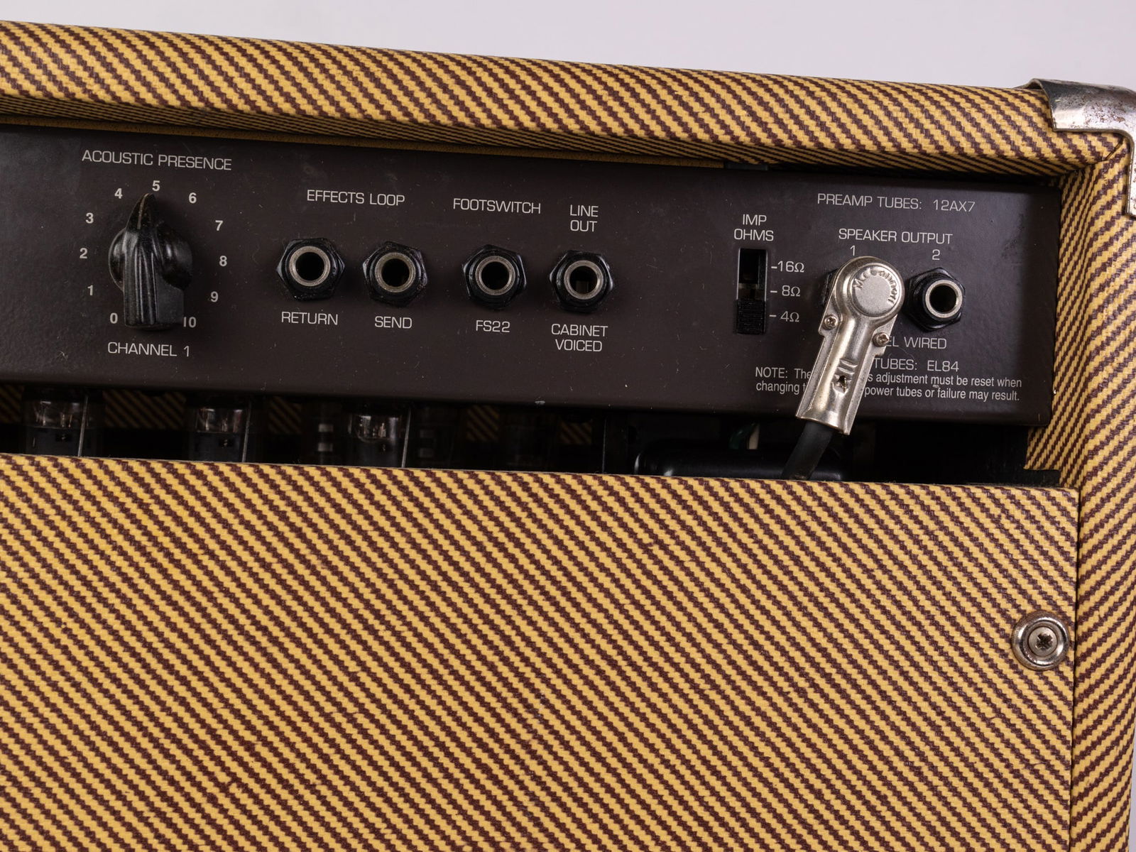 Carvin "Vintage Tube" Amplifier - 6