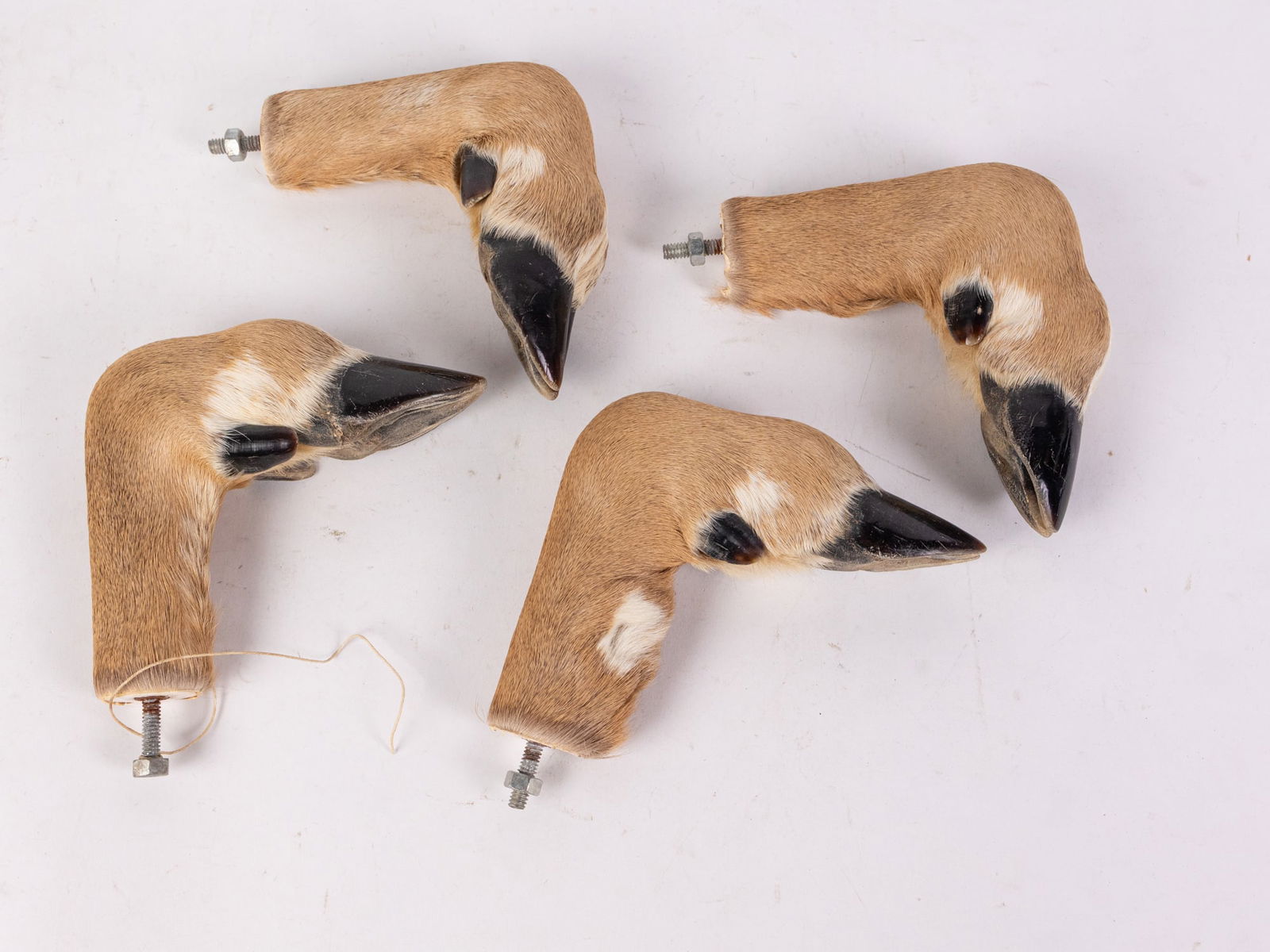 Set of Four Deer Hoof Drawer Pulls: Set of Four Deer Hoof Drawer PullsSize7" x 12" x 12"LiteratureBrooks Auction – Online Auction Terms & Conditions