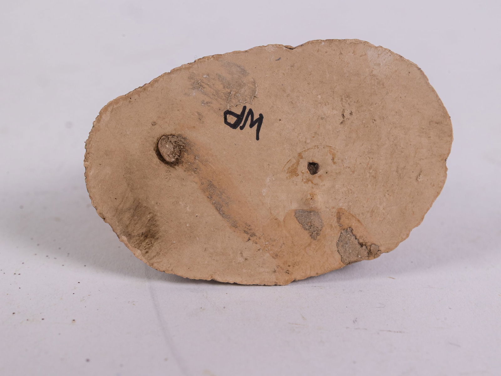 Wee Forest Folk Concord Red Coat Mouse M-11 Figure in Box - 5