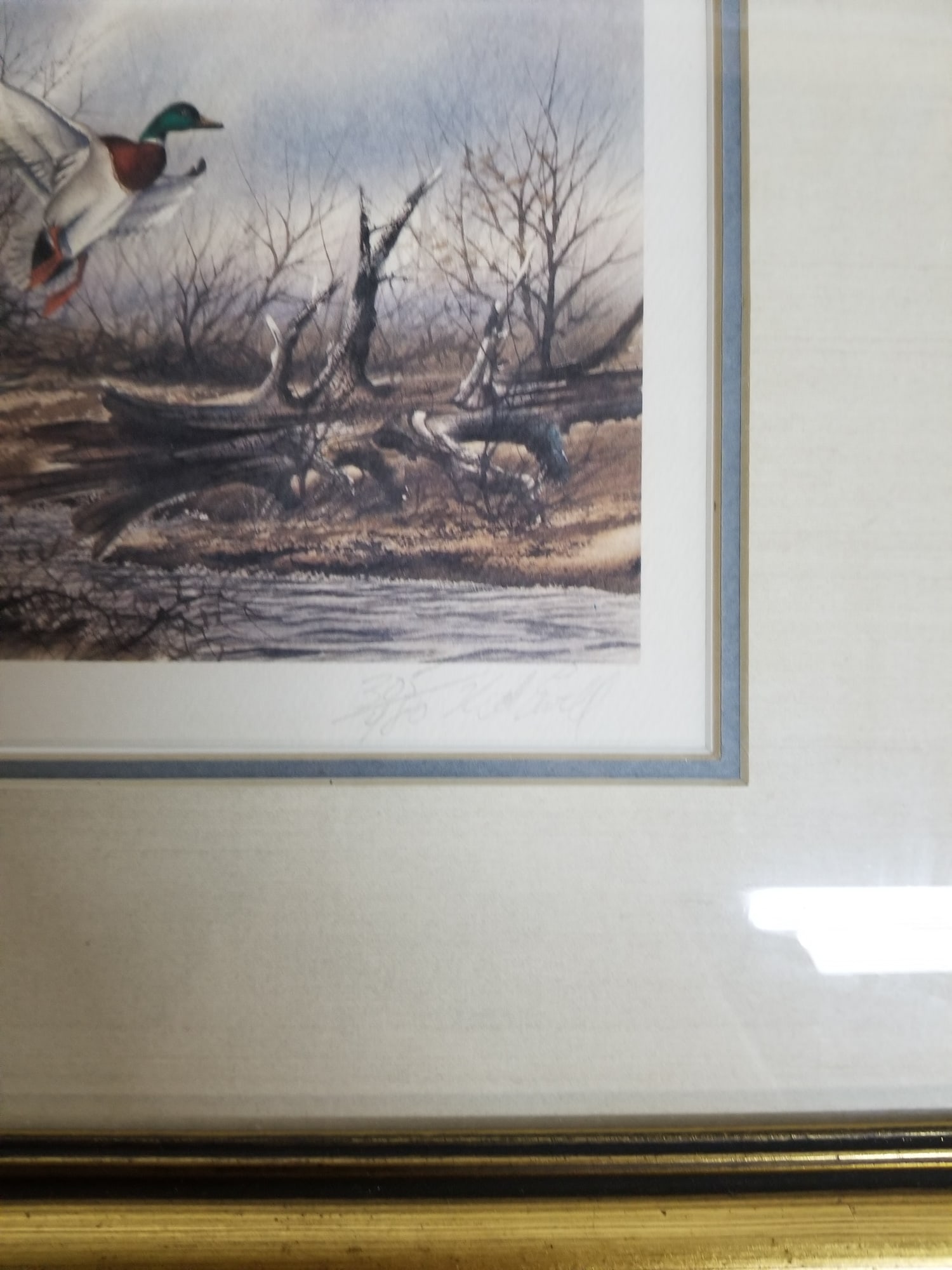 Ned Ewell (20th c. Maryland) Pair of Hand Signed & Numbered Duck Prints - 3