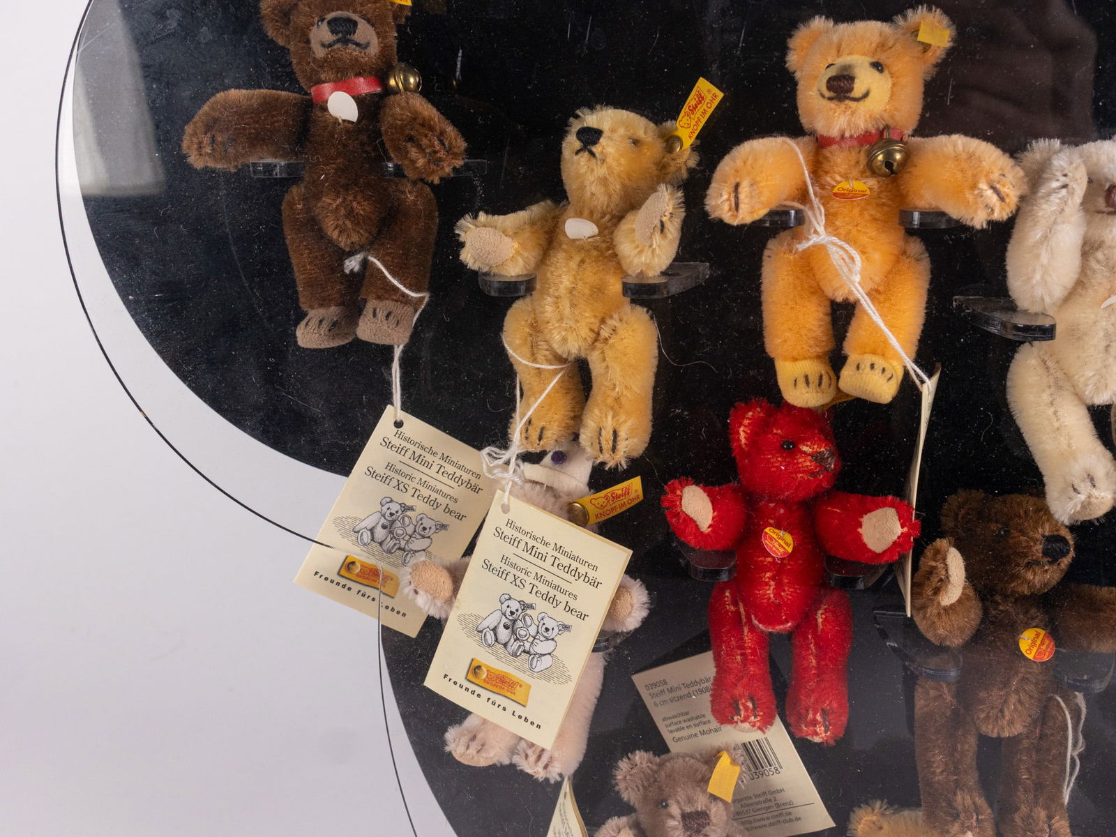 Steiff Acrylic Bear Shaped Display with 18 Miniature XS Teddy Bears - 3