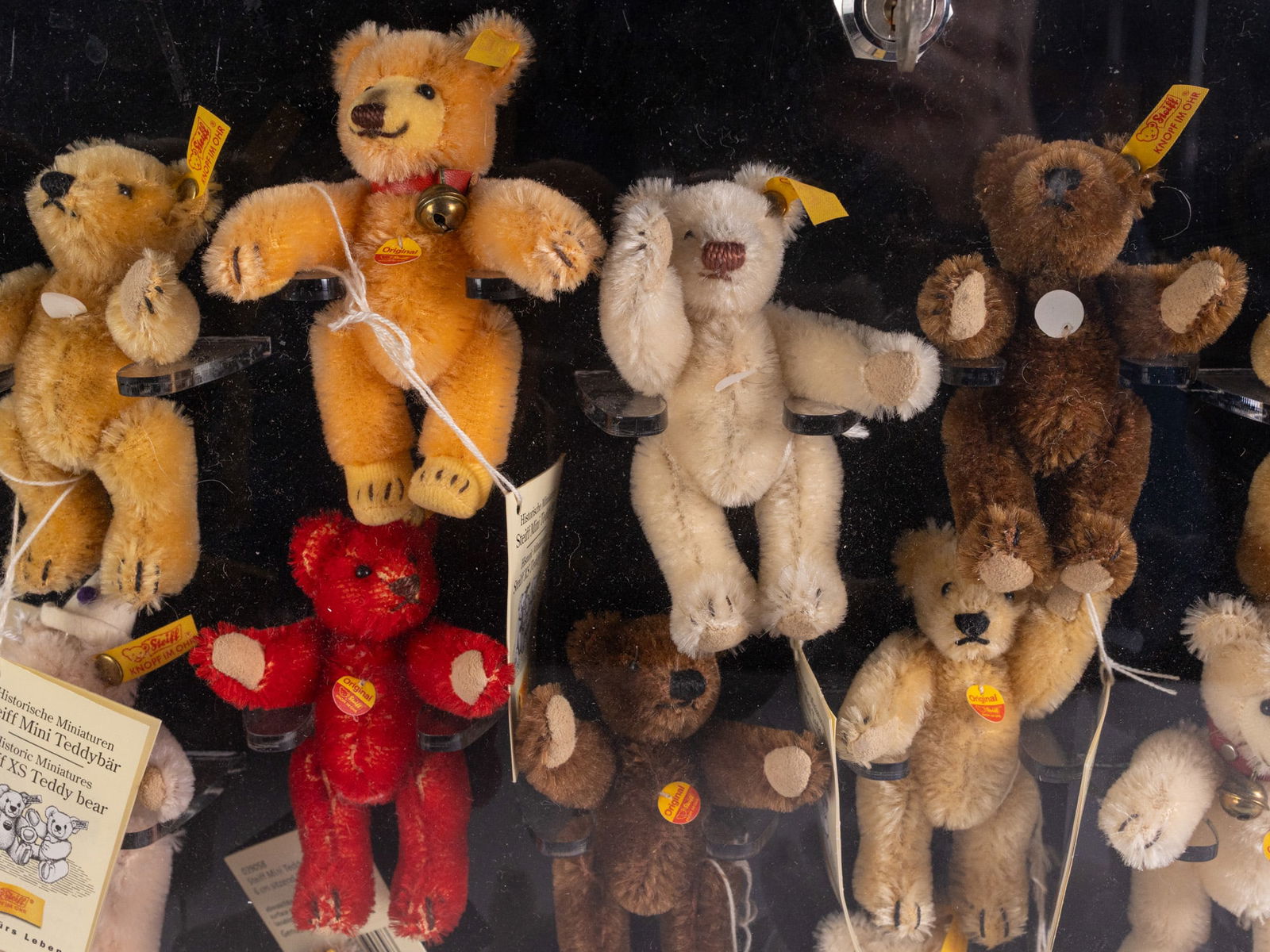 Steiff Acrylic Bear Shaped Display with 18 Miniature XS Teddy Bears - 4