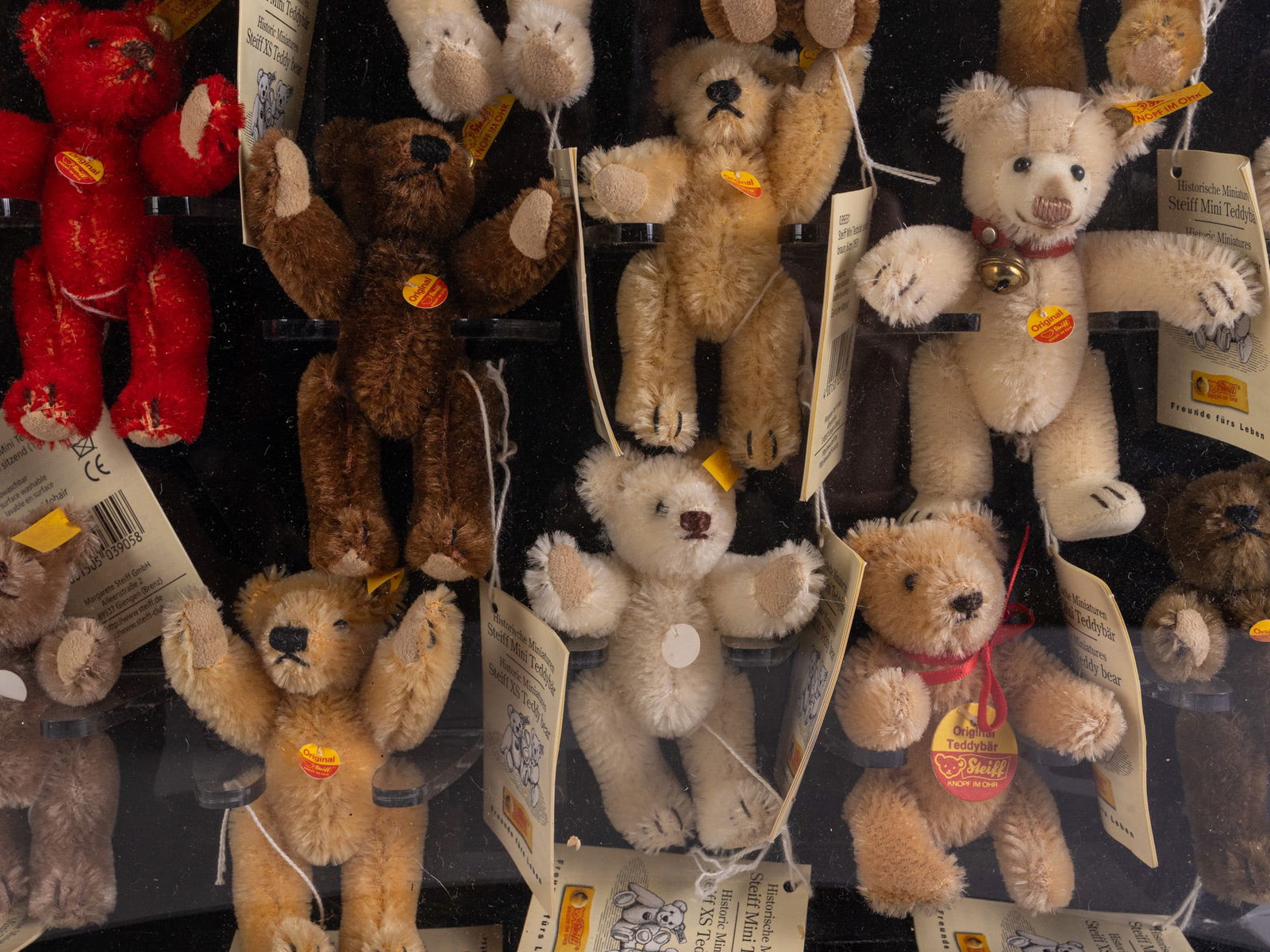 Steiff Acrylic Bear Shaped Display with 18 Miniature XS Teddy Bears - 7