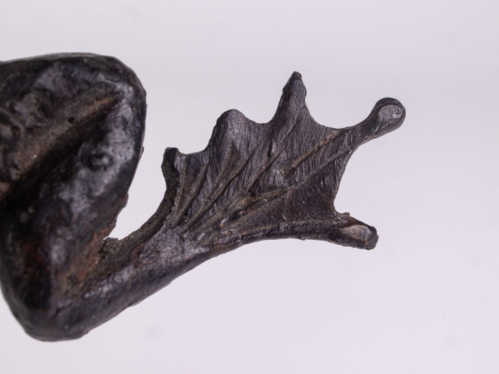 Antique Bronze Frog Figure - 5