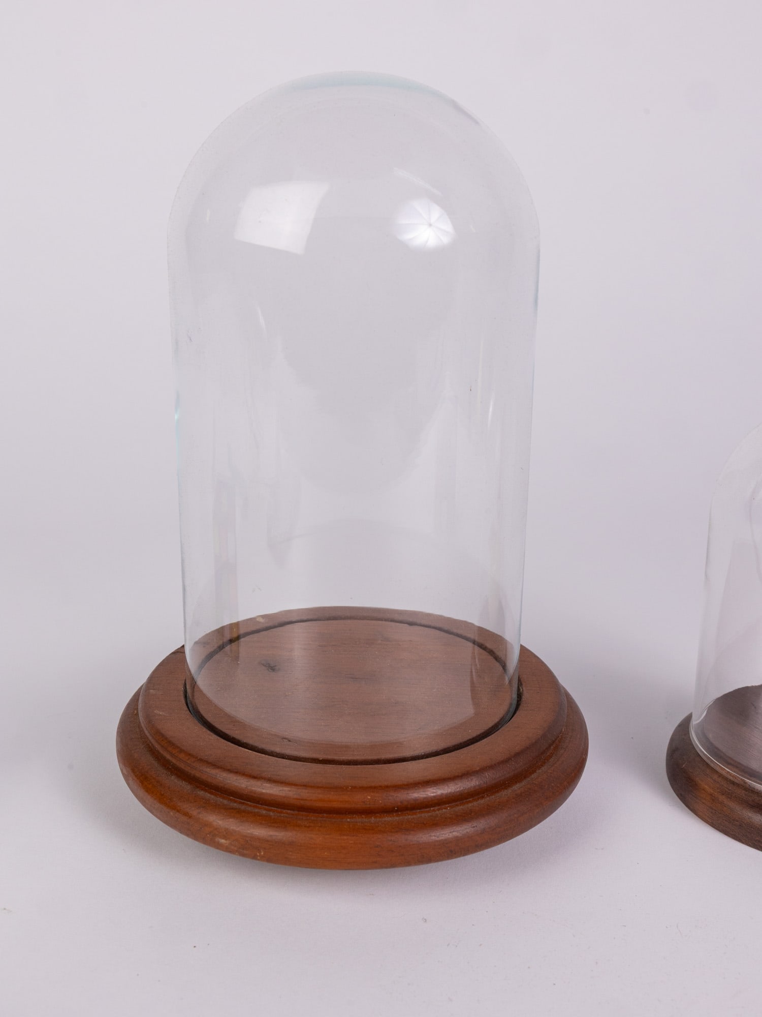 Pair of Antique Domed Cloches - 4