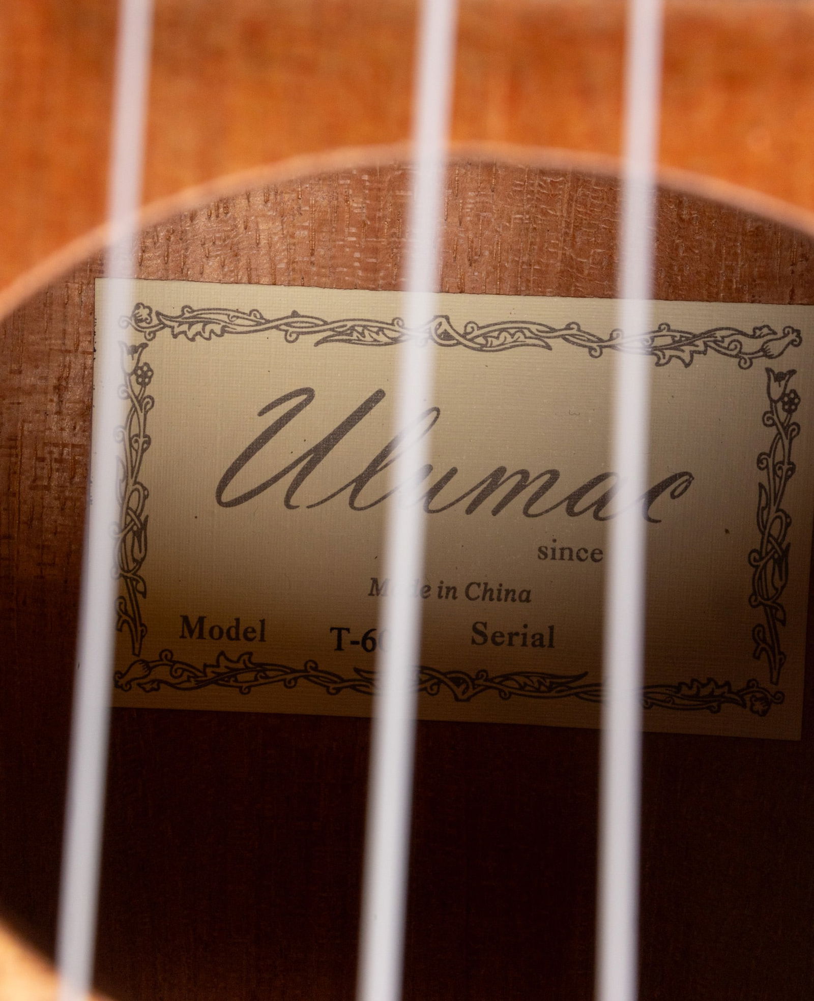 Ulumac T-60 Ukulele in Case - 5