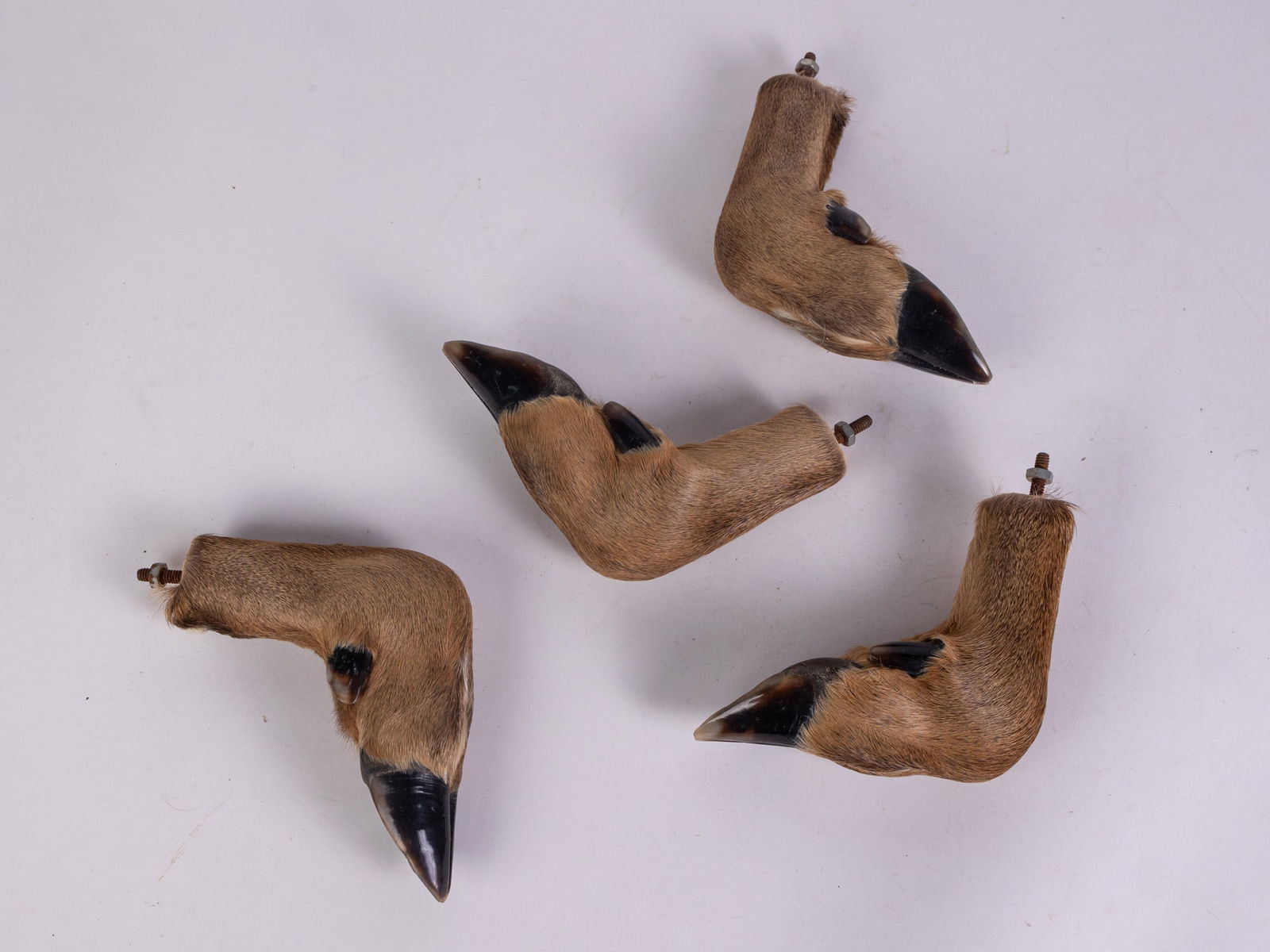 Set of Four Deer Hoof Drawer Pulls (1 of 4)