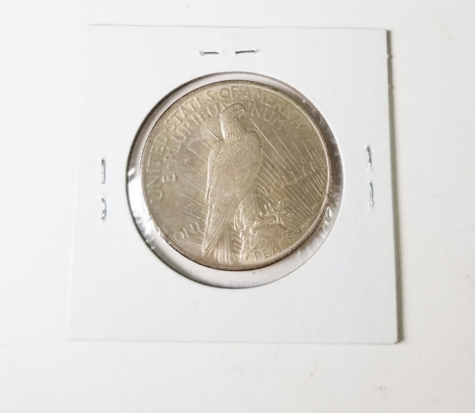 1924 Peace Silver Dollar - 2