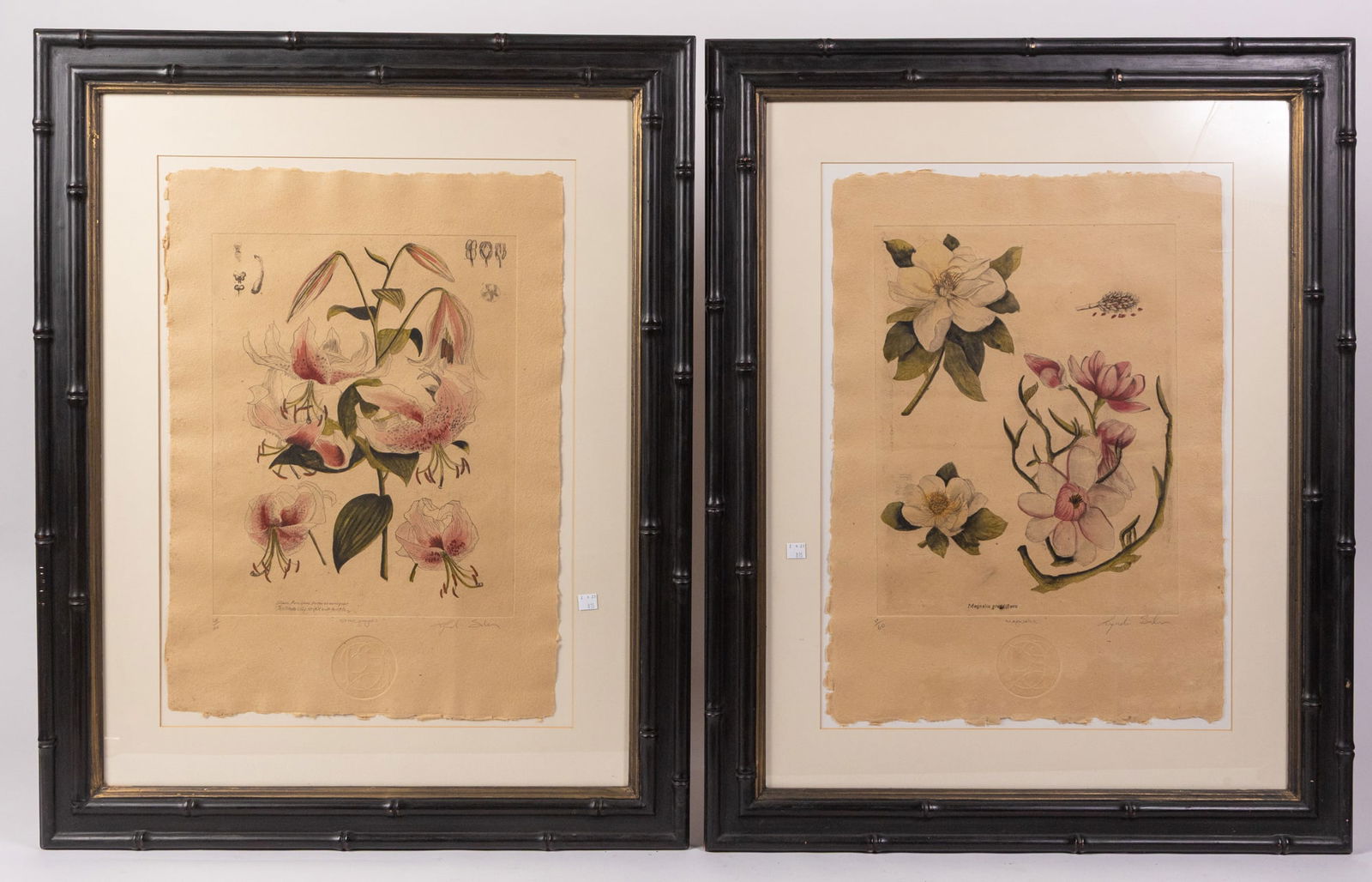 Lyndi Sales (b. 1973) | Pair of Botanical Prints (1 of 10)