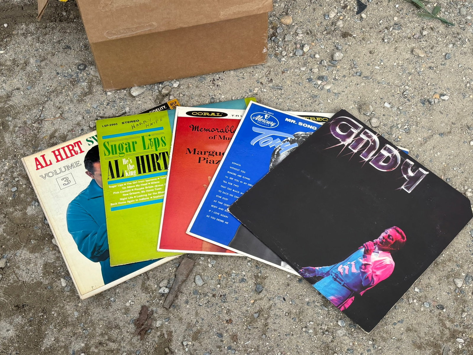 Assortment of Vintage Vinyl Records - 2