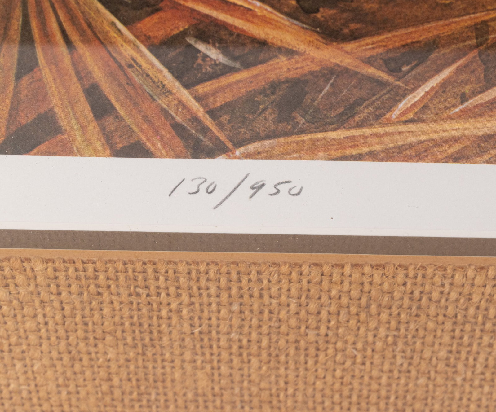 Turkey Print Signed & Numbered - 2