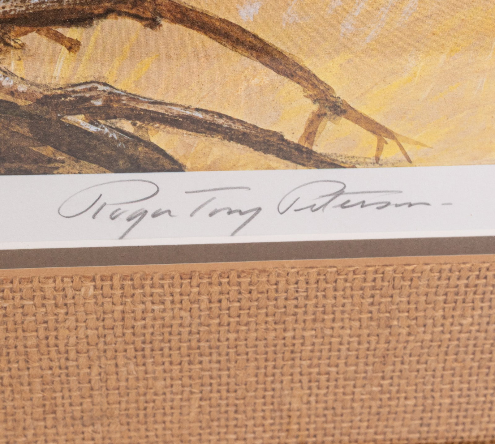 Turkey Print Signed & Numbered - 3