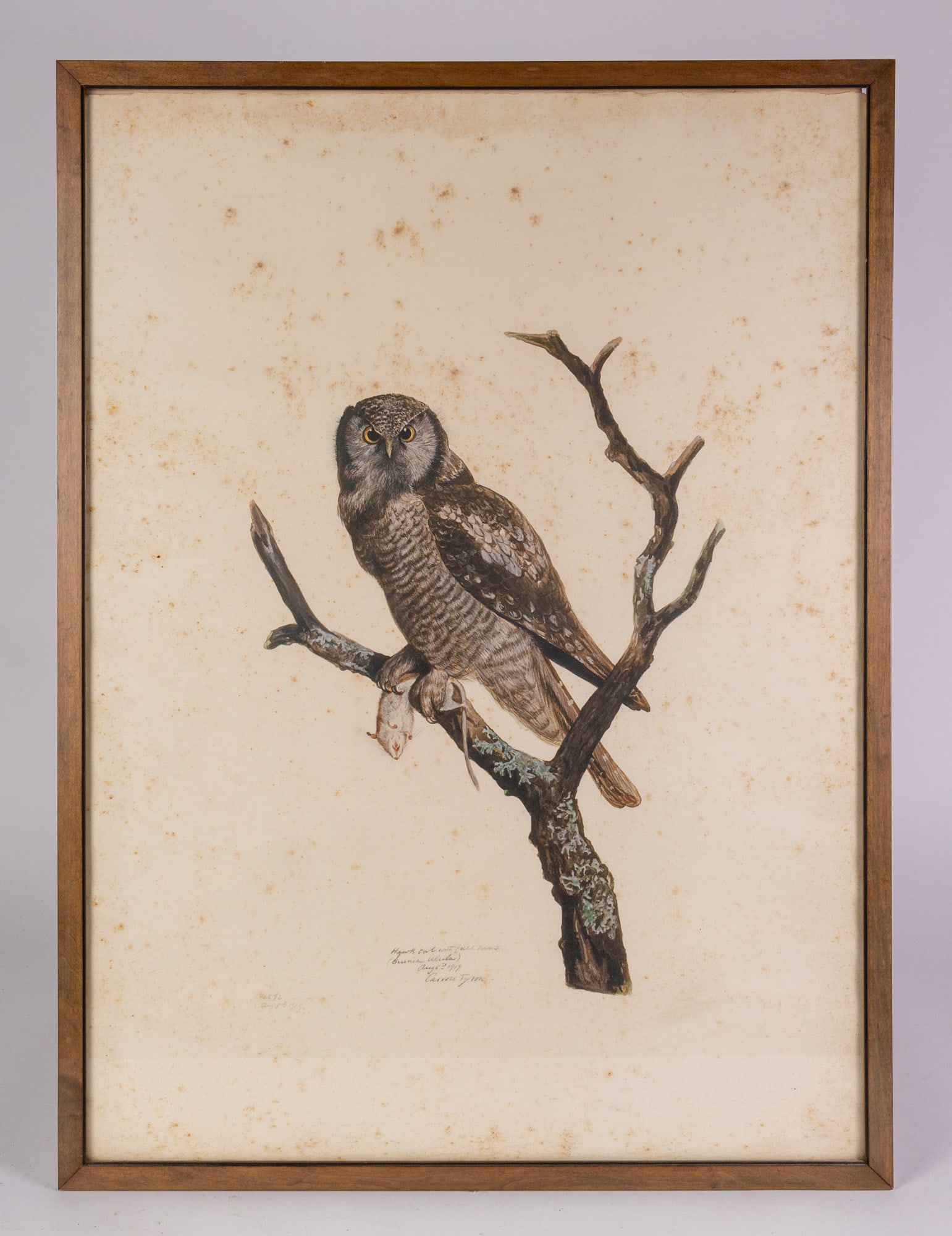 Carroll Sargent Tyson (1877-1956) Owl Lithograph c.1914 or 19: Carroll Sargent Tyson (1877-1956) Owl Lithograph c.1914 or 19 Size 31" x 23" Literature Brooks Auction – Online Auction Terms & Conditions Contact: (856) 694-2960 | info@brooks.auction READ