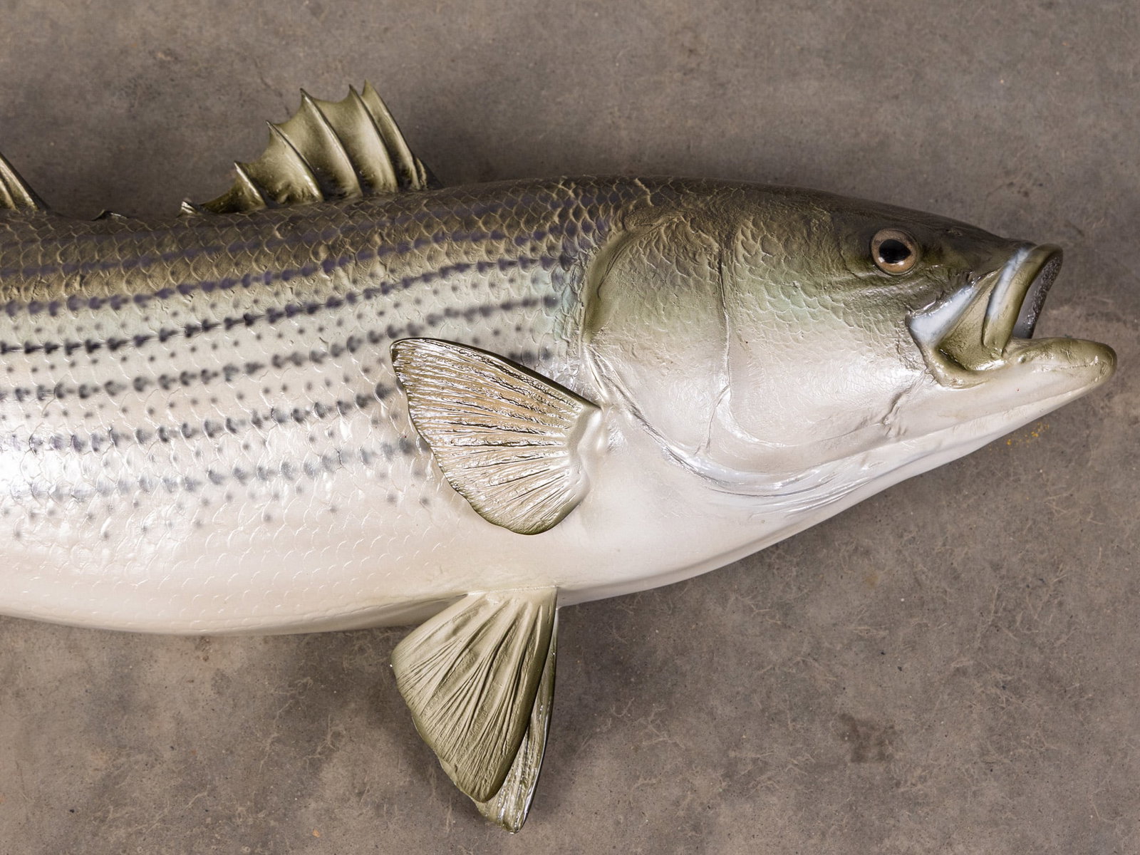 Replica Big Mouth Bass Wall Mounted Trophy - 2