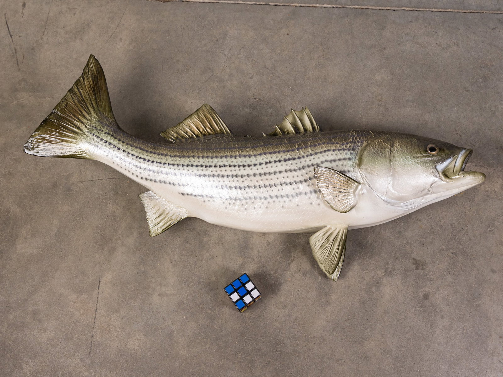 Replica Big Mouth Bass Wall Mounted Trophy - 4