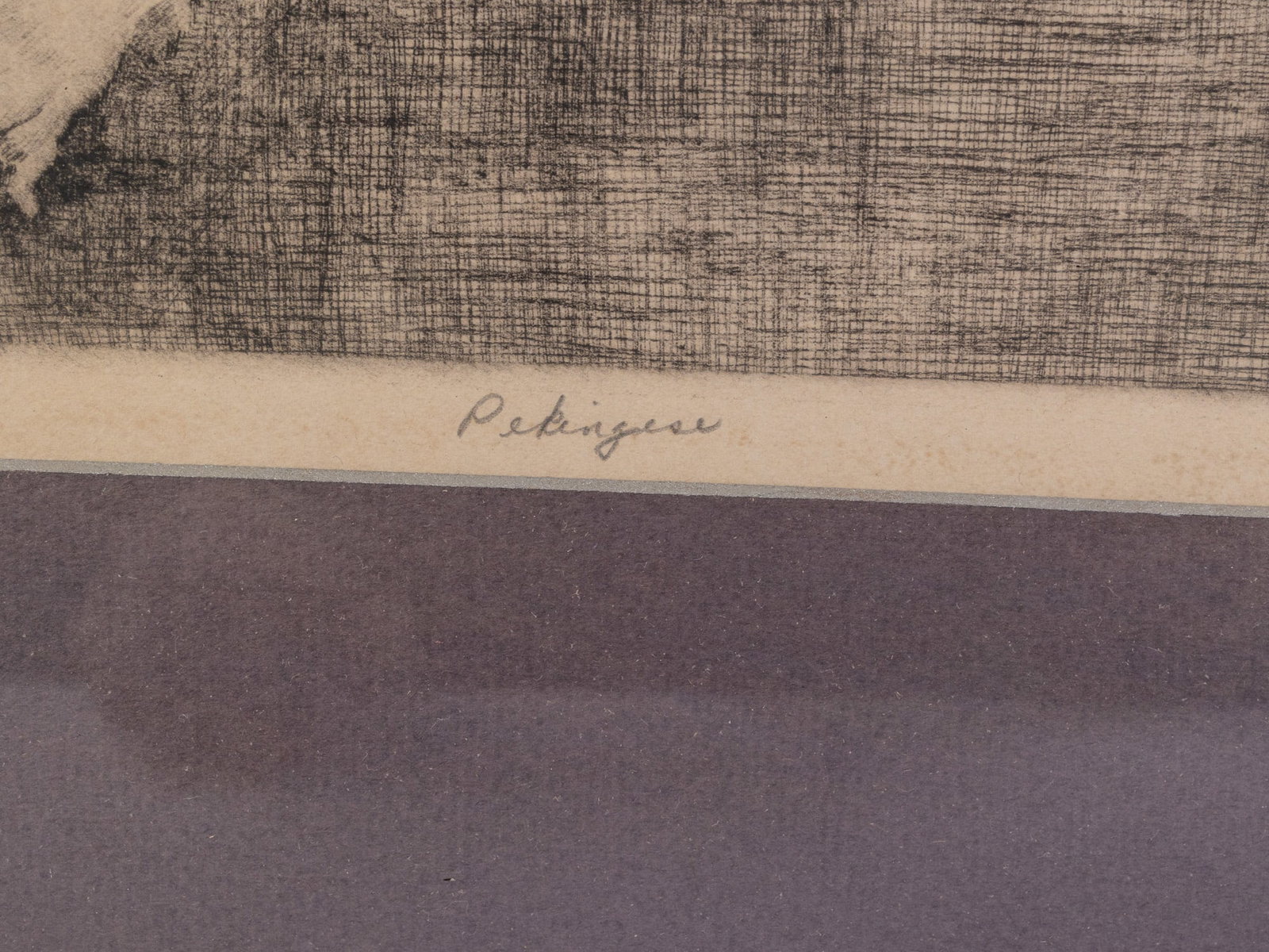 Don Swann (American, 1889-1954) "Pekingese", Etching 48/250 - 4