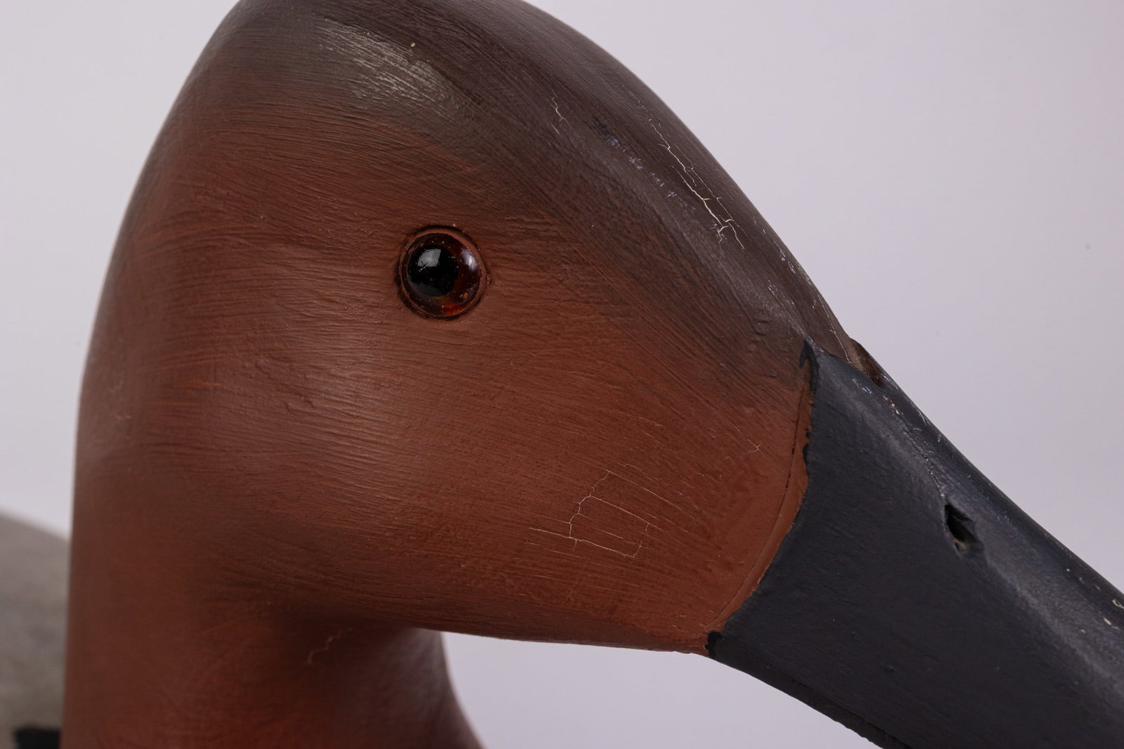 Harry V. Shourds (b. 1930) | Canvasback Drake Duck Decoy - 3