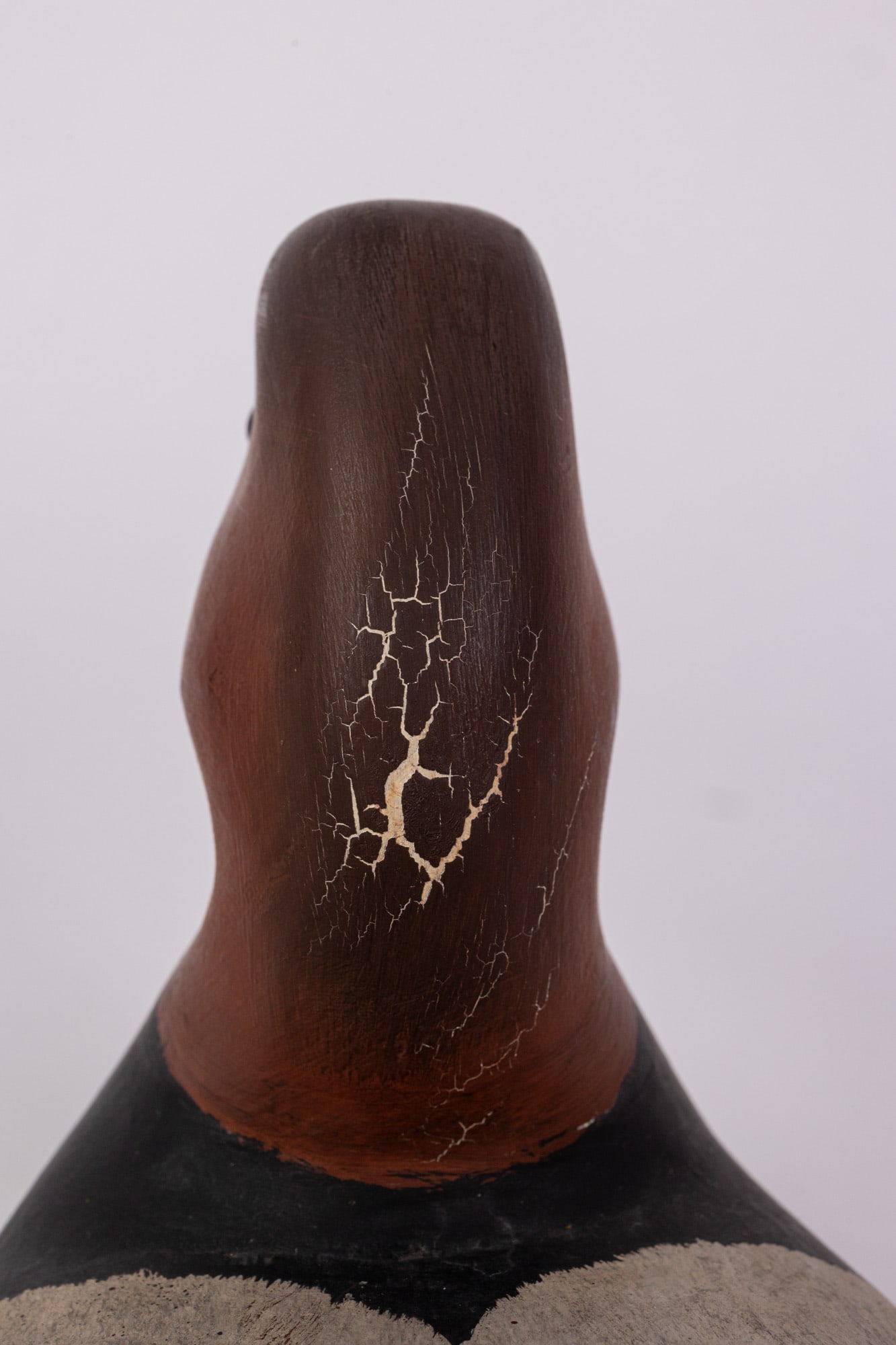 Harry V. Shourds (b. 1930) | Canvasback Drake Duck Decoy - 6