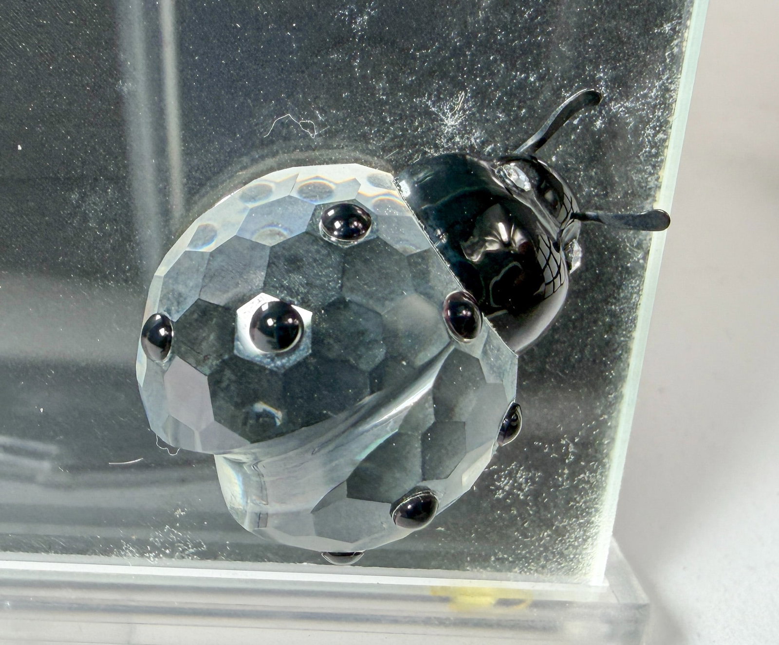 Swarovski Silver Crystal Picture Frame with Lady Bug IOB - 3