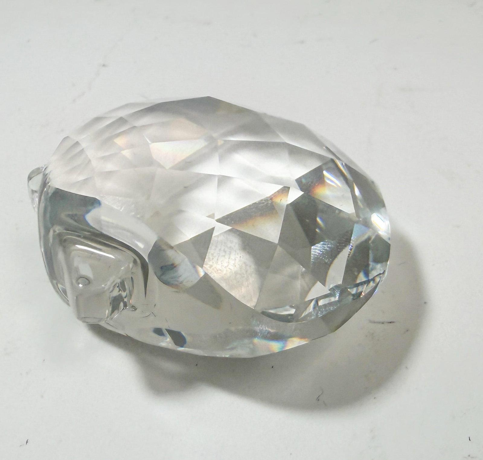 Swarovski Crystal Scallop Shell IOB - 3