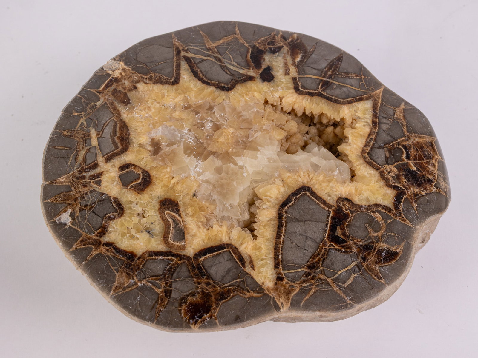 Large 8" Polished Geode - 3
