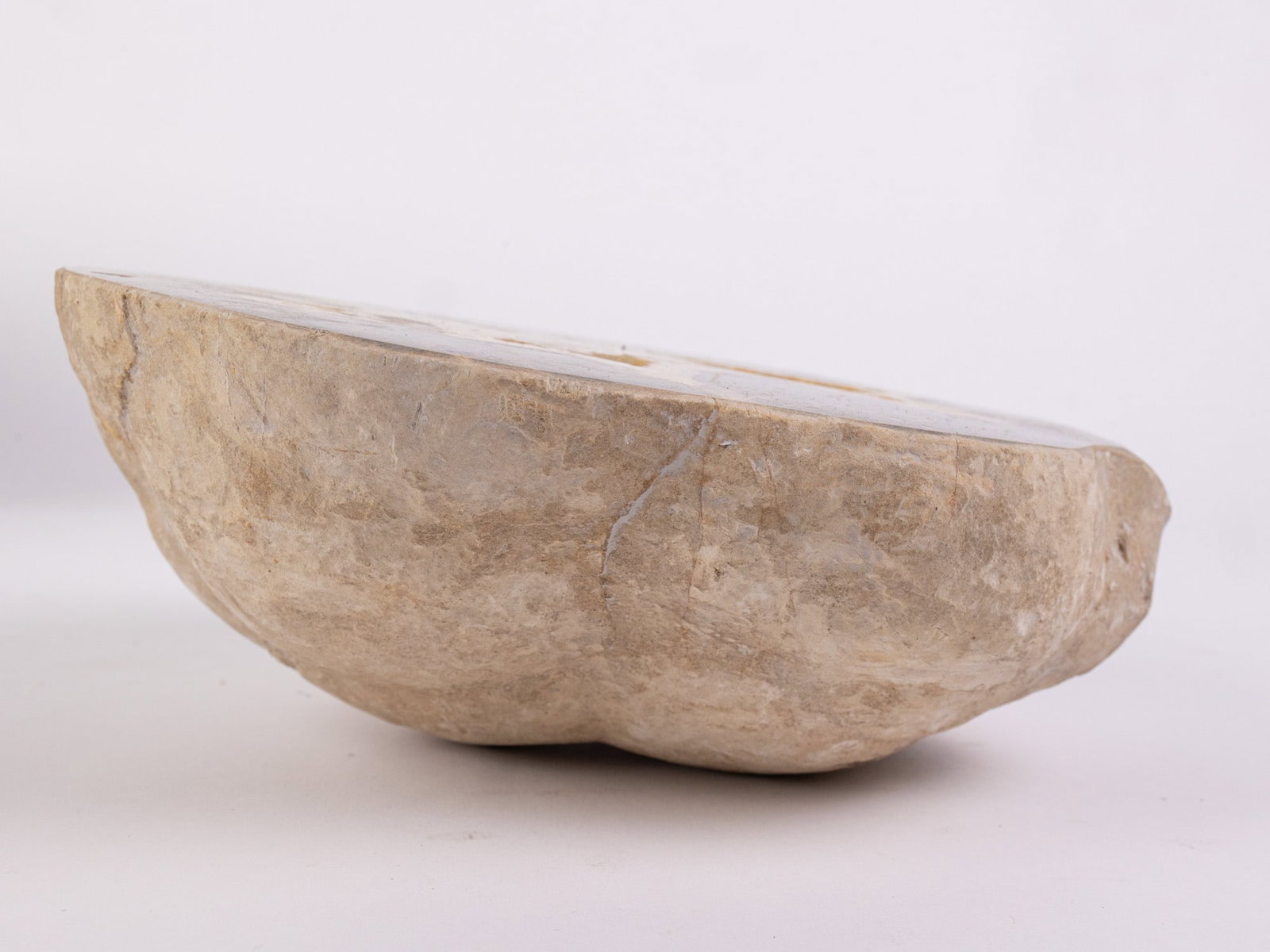 Large 8" Polished Geode - 4