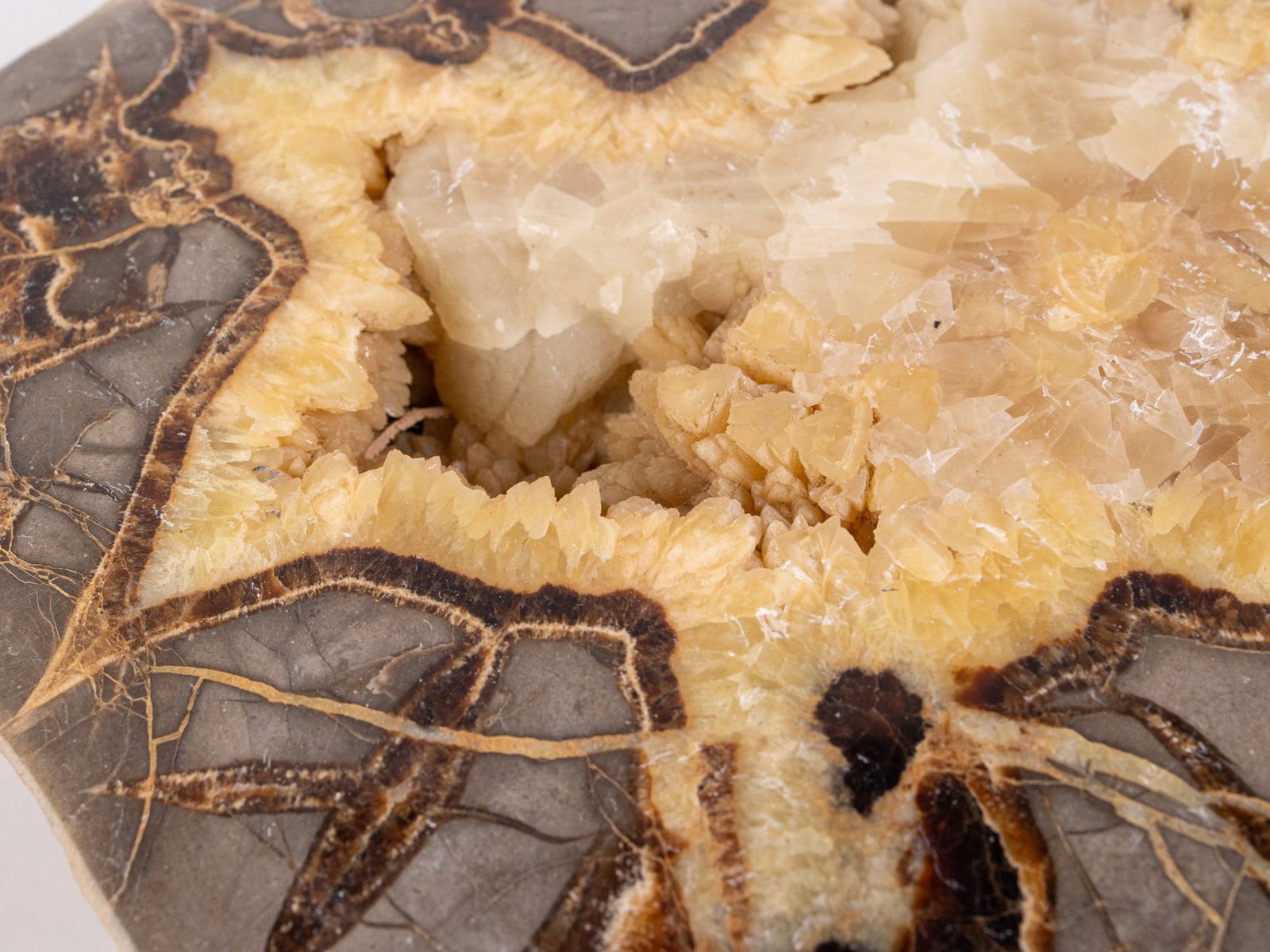 Large 8" Polished Geode - 6
