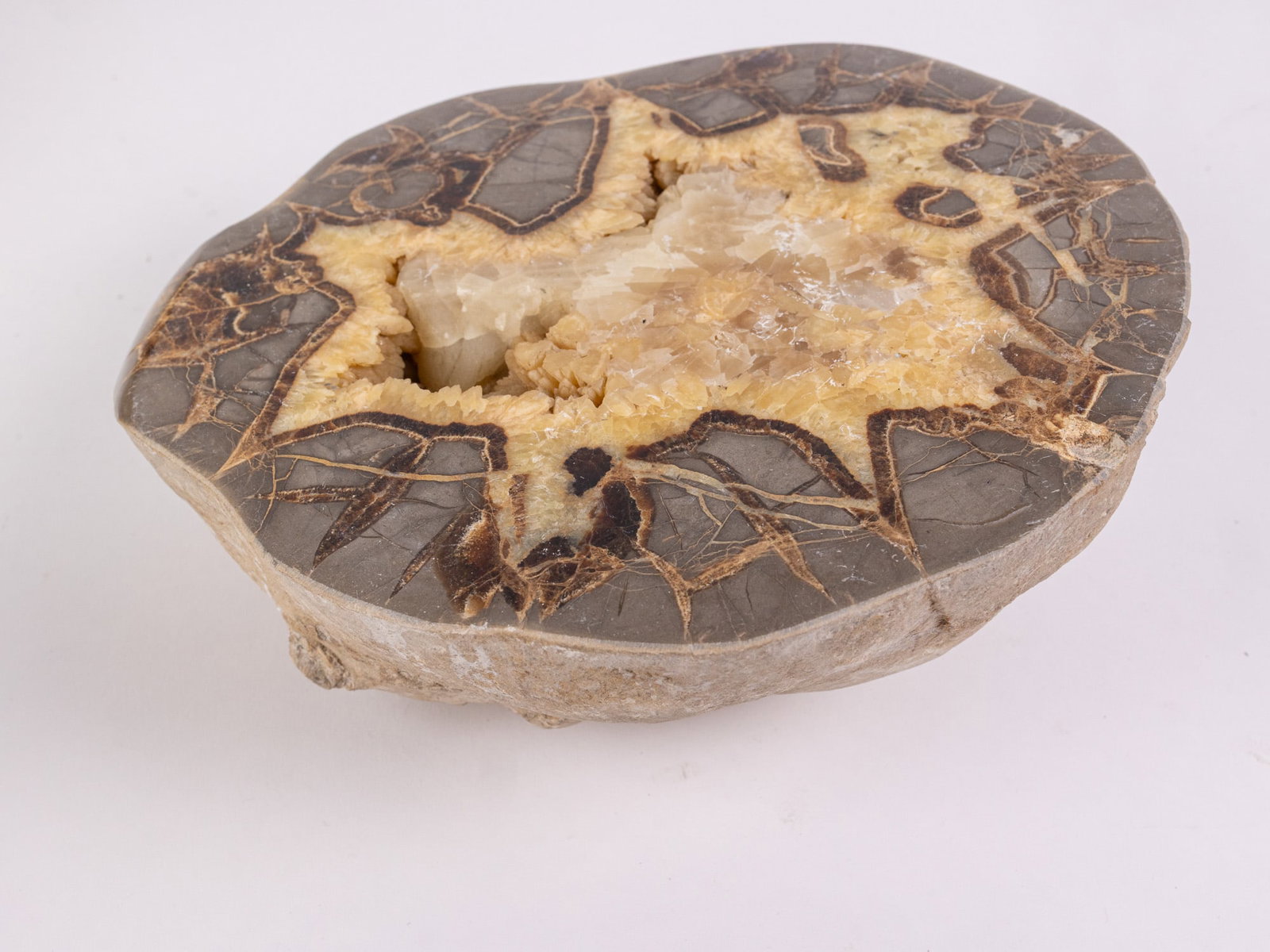 Large 8" Polished Geode - 7