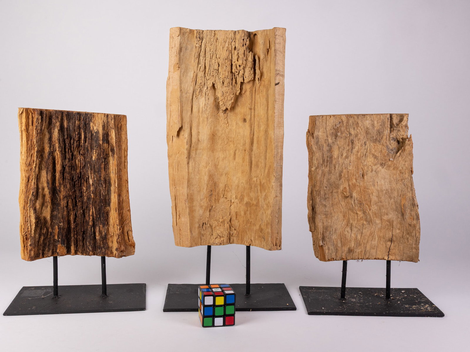 Trio of Decorative Preserved Wood Pieces on Stands - 2