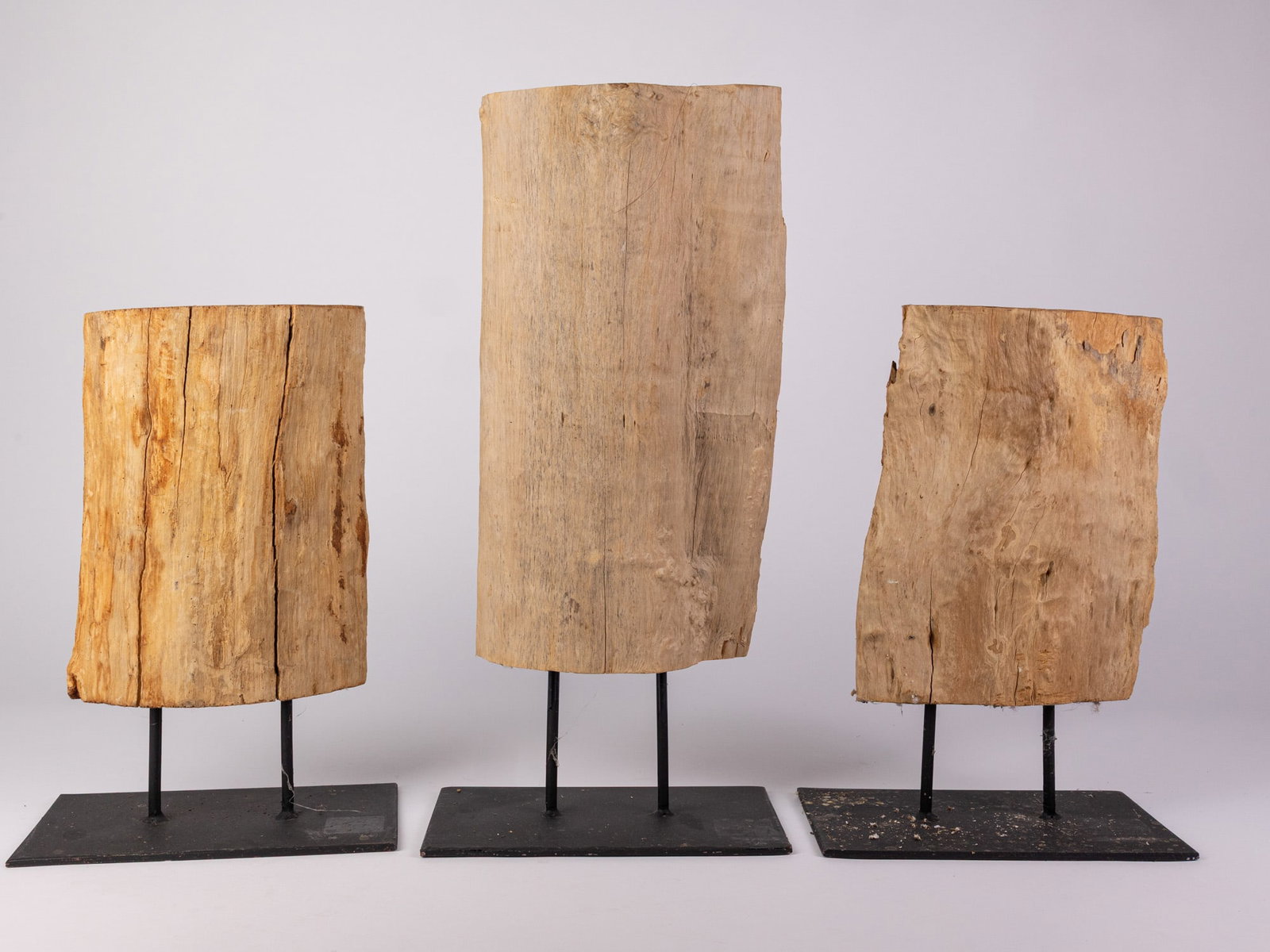 Trio of Decorative Preserved Wood Pieces on Stands - 3