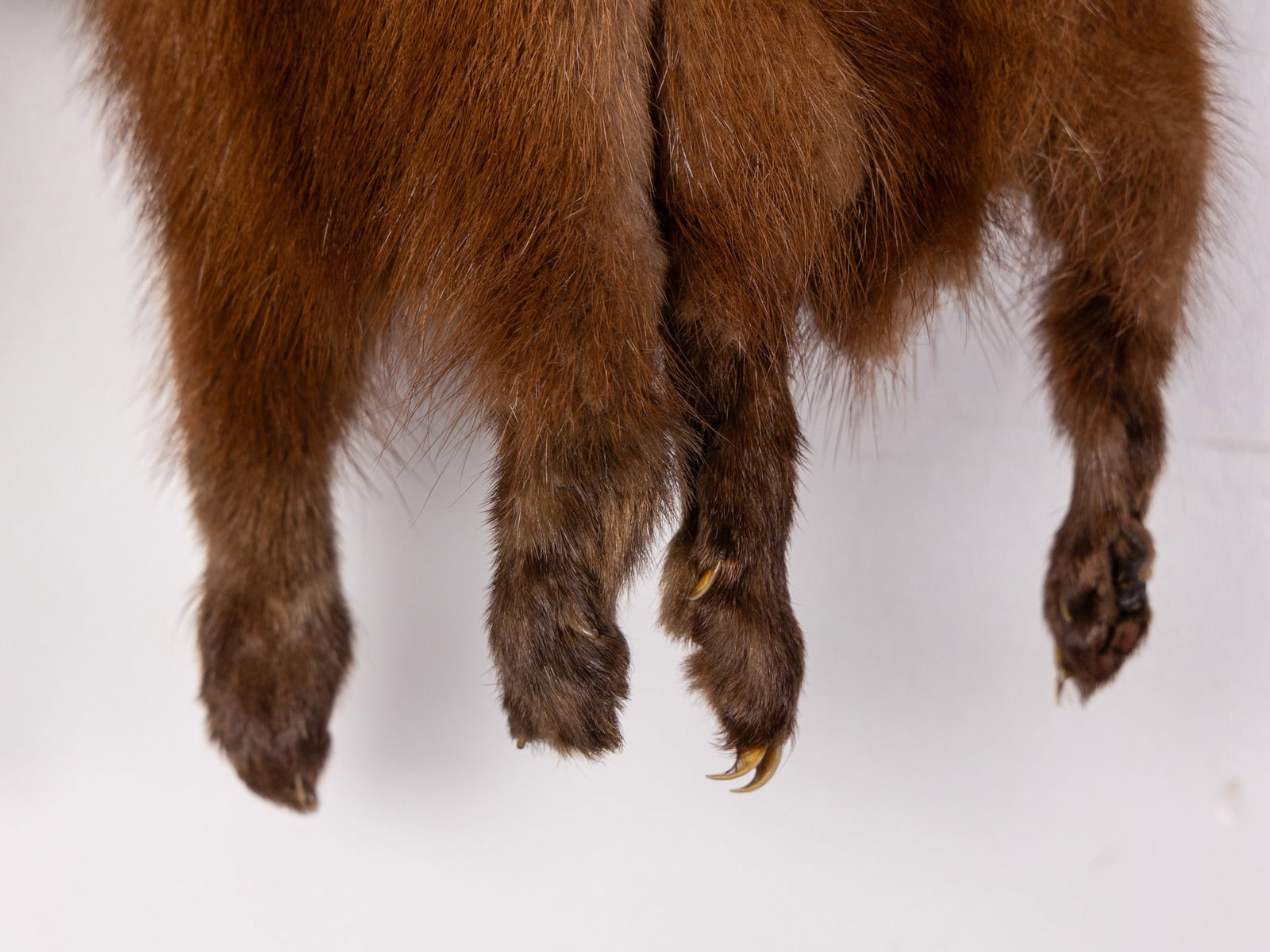 Vintage Fur Animal Stole - 3