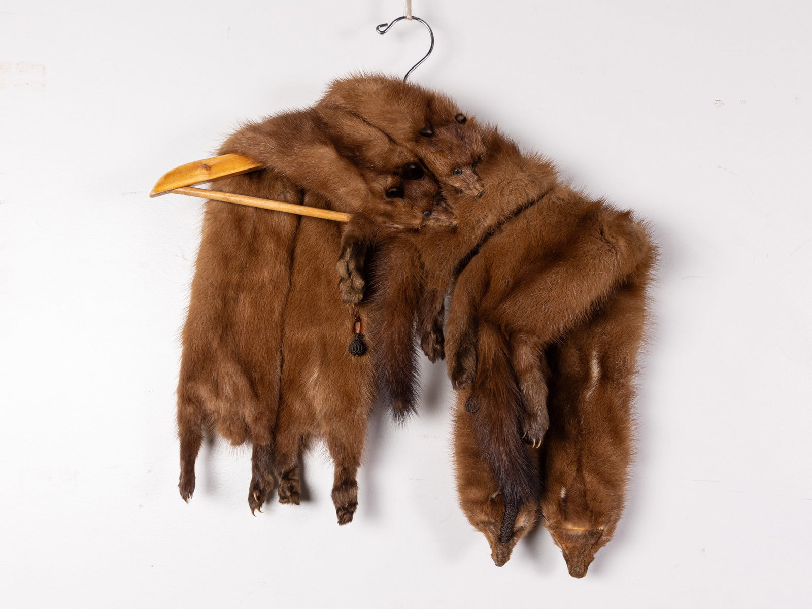 Vintage Fur Animal Stole - 4