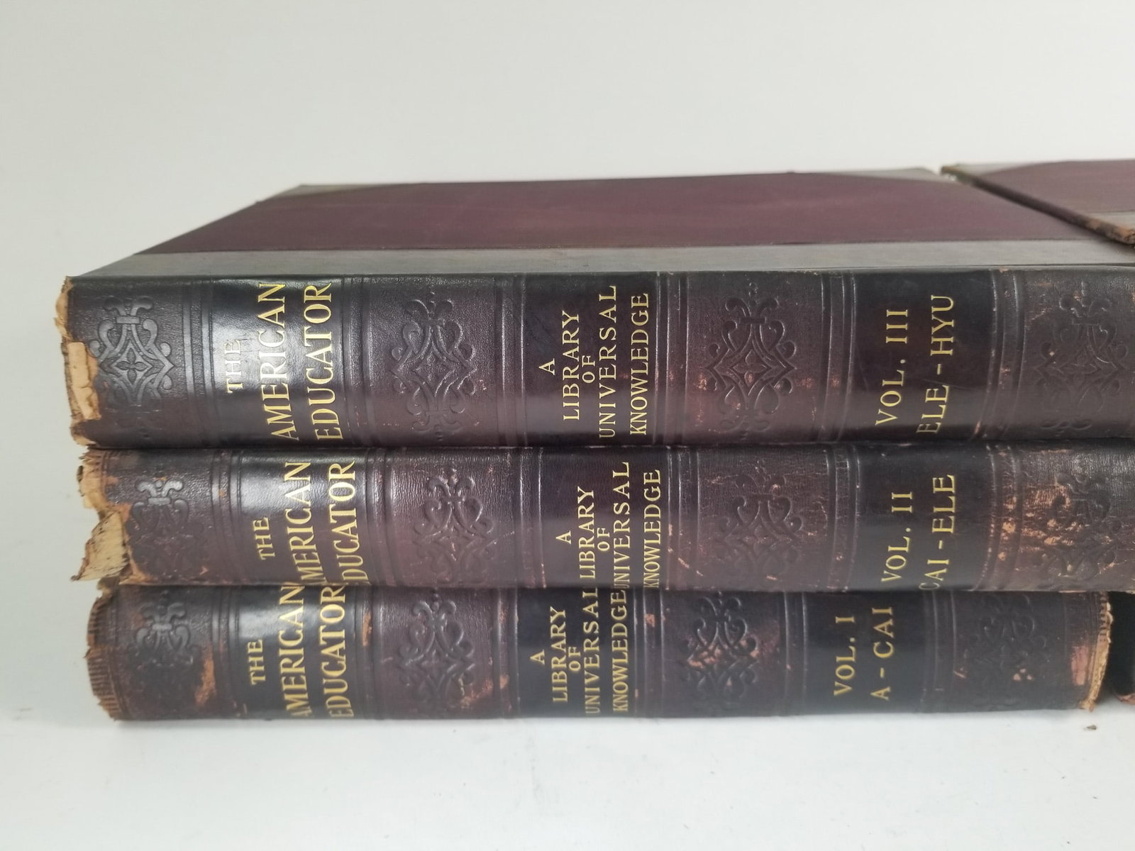 Six Volumes of The American Educator: A Library of Universal Knowledge - 3