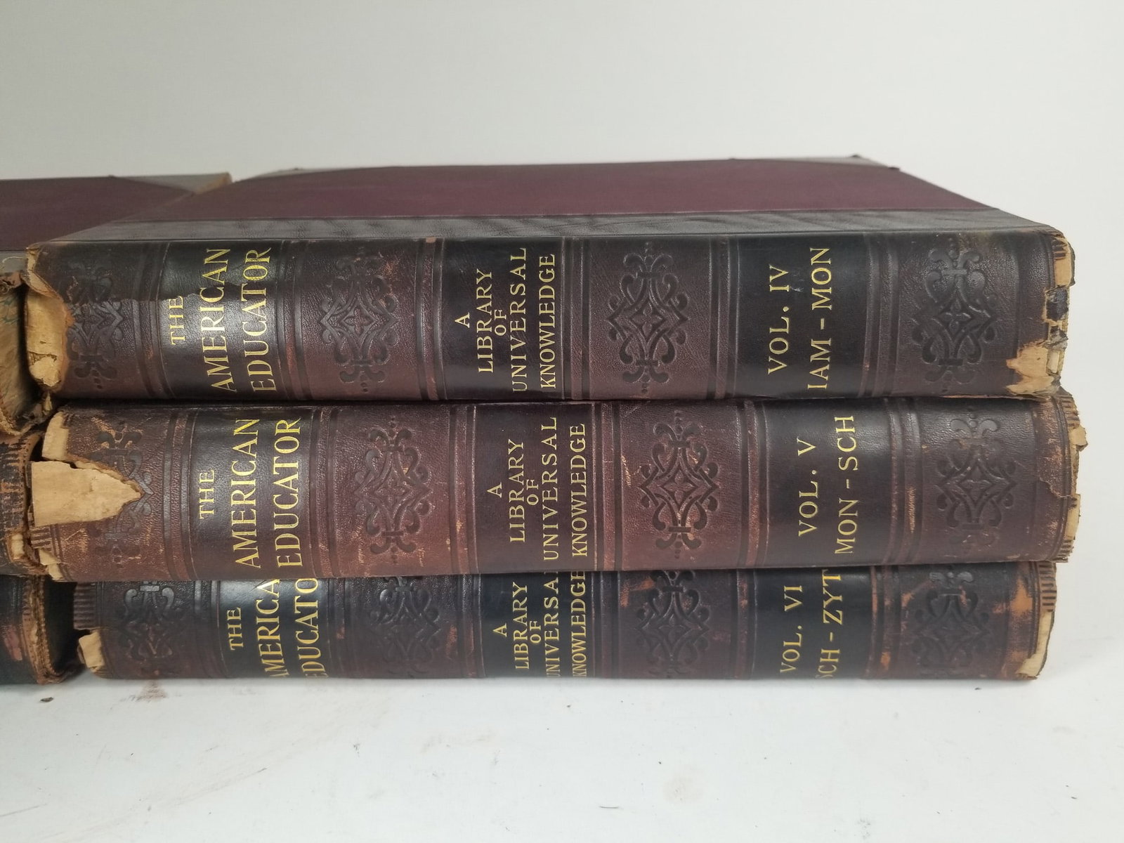 Six Volumes of The American Educator: A Library of Universal Knowledge - 4