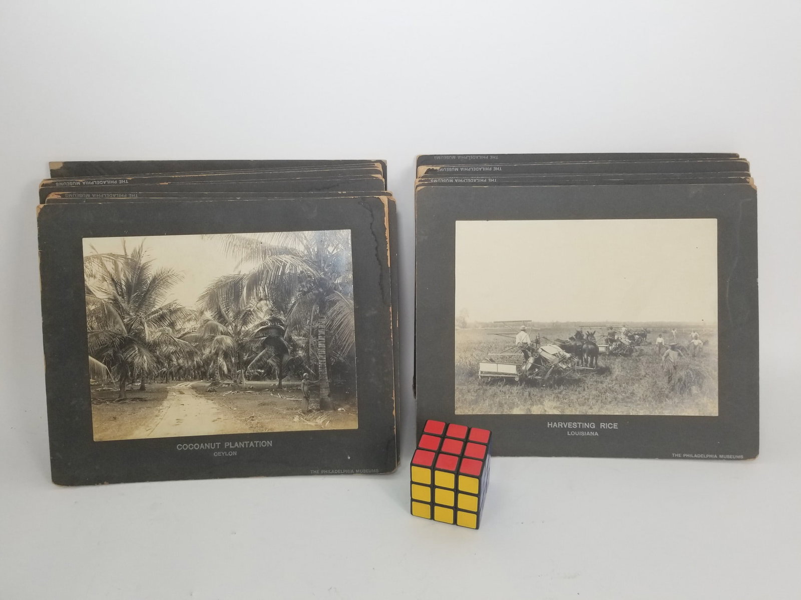 (20) The Philadelphia Museum Silver Gelatin Photographs - 2