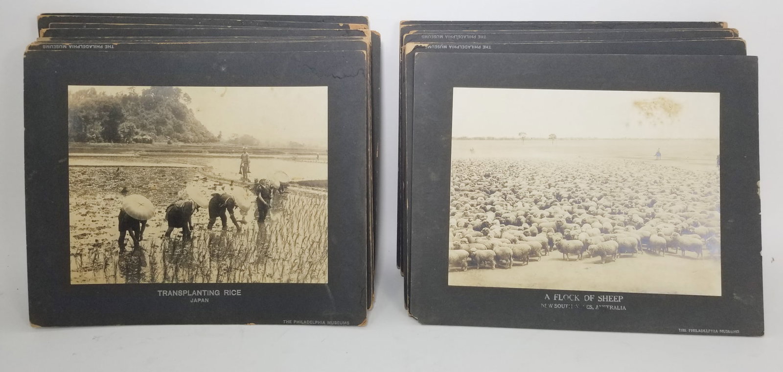 (20) The Philadelphia Museum Silver Gelatin Photographs - 5
