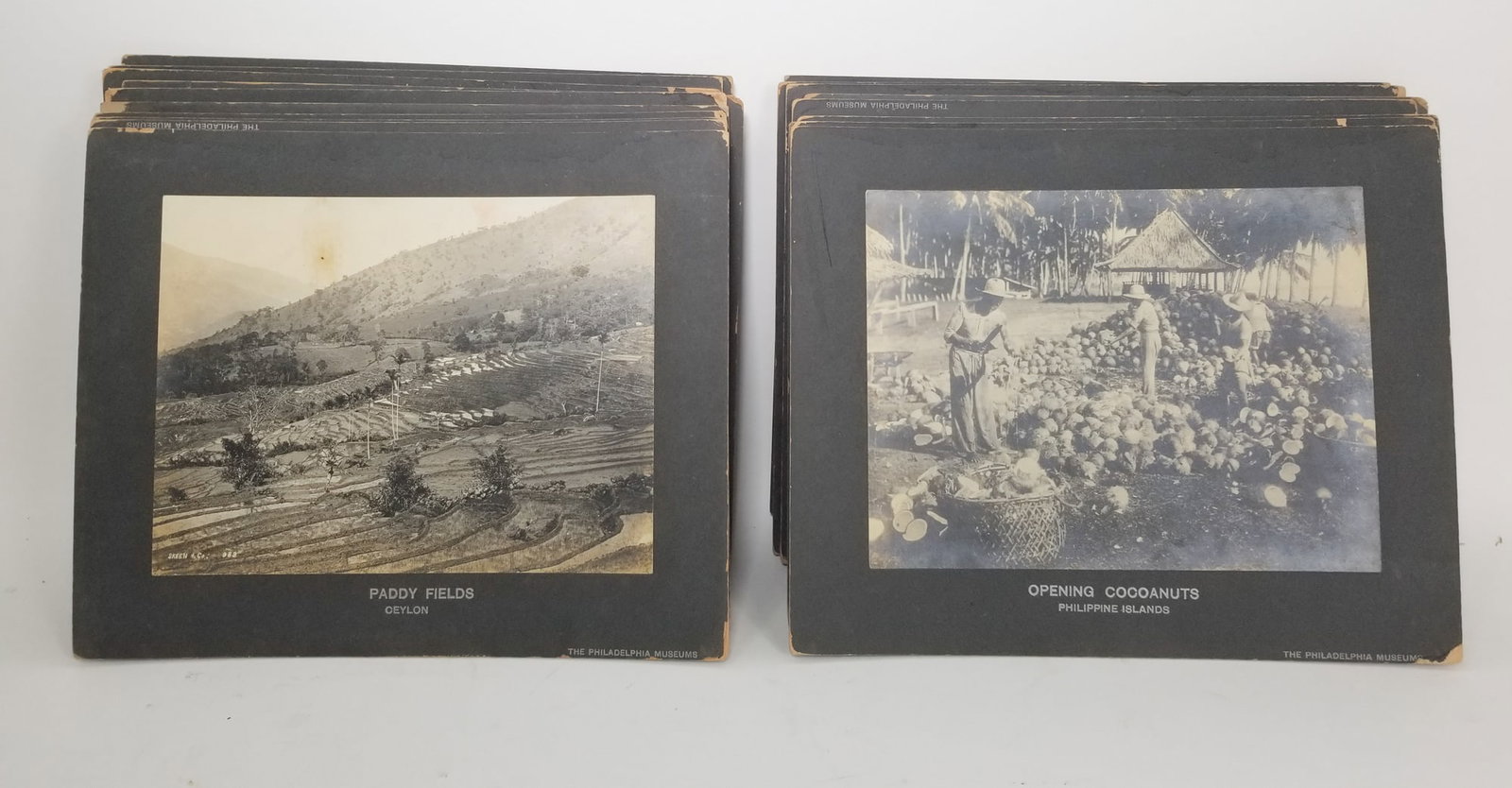 (20) The Philadelphia Museum Silver Gelatin Photographs - 6