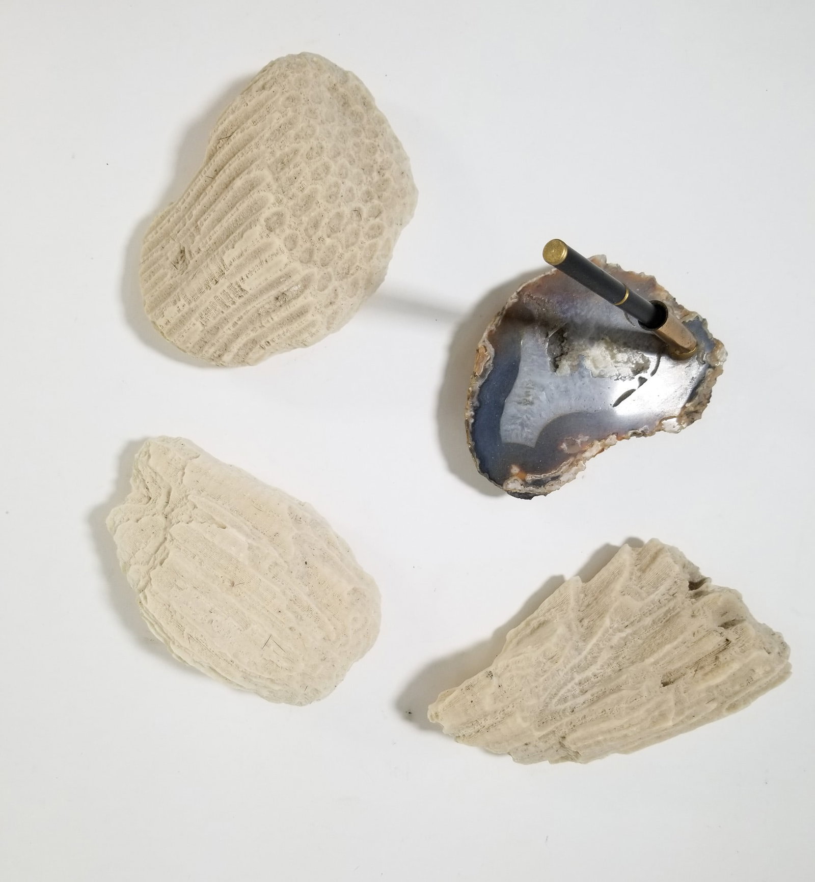 Grouping of Fossilized Coral and Agate Pen Holder (1 of 6)
