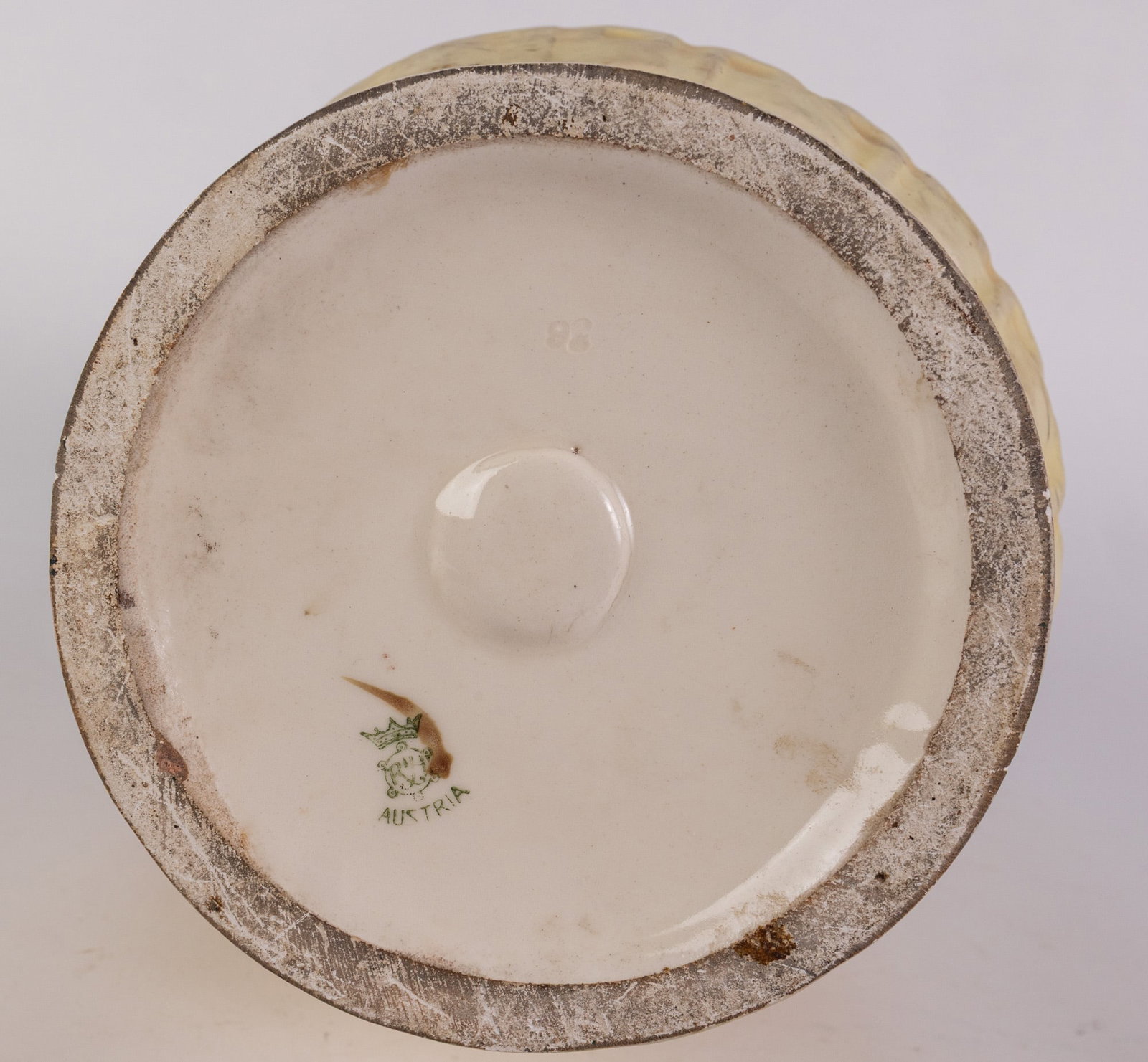 Antique Robert Hanke Austria Porcelain Vase with 3D Hydrangea Reliefs - 5