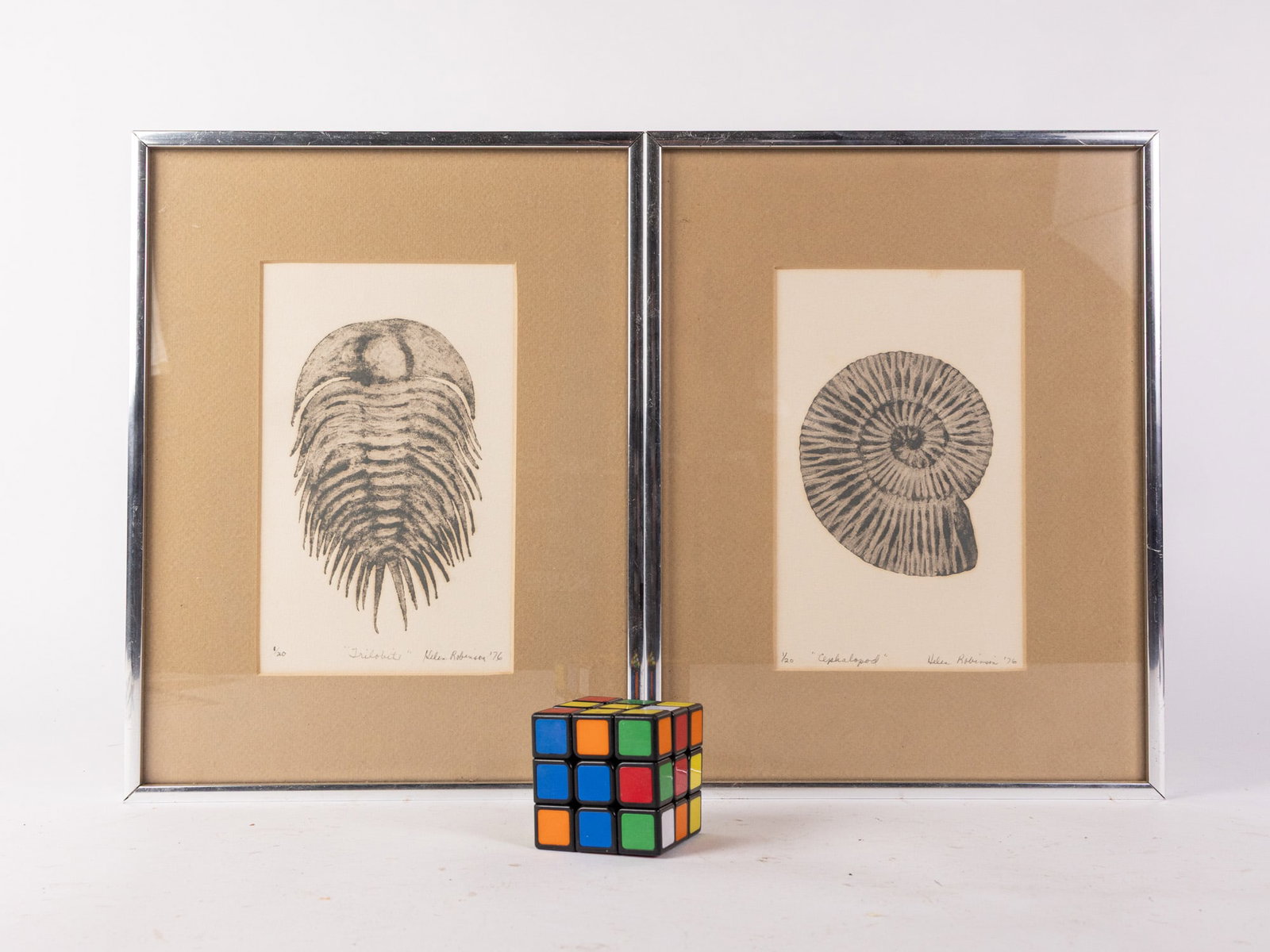 Two Framed Fossil Prints by Helen Robinson - 2
